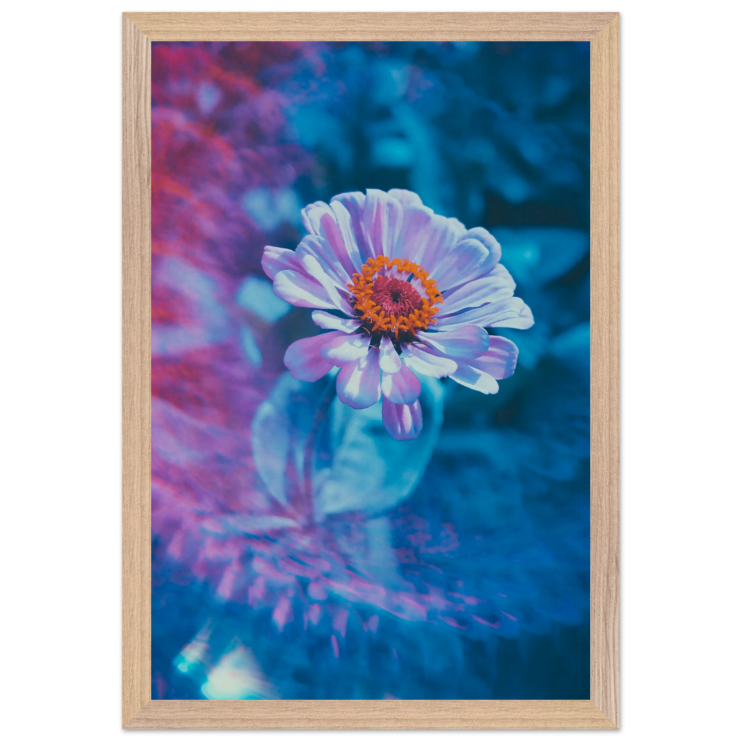 018eca04-f071-47f6-8f94-ae754dfac40d