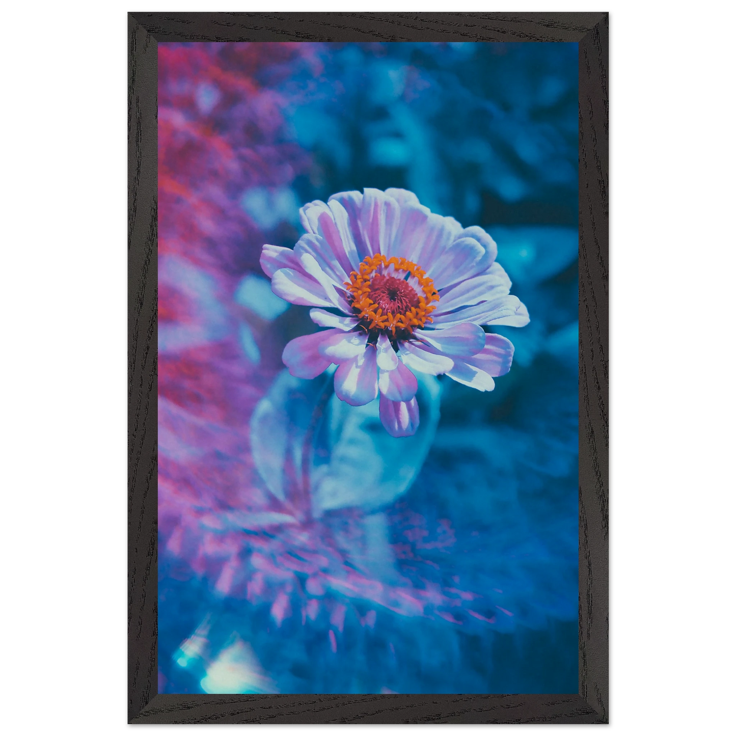 050d5d17-5dc6-49ad-a9be-6f1651e3aab1