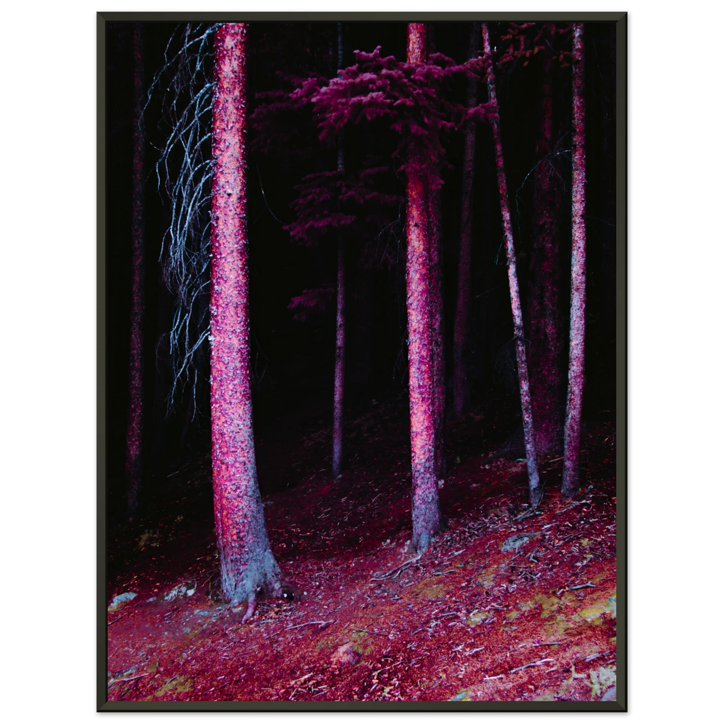 0c7216bb-4677-4475-bf6a-4bddcc335695