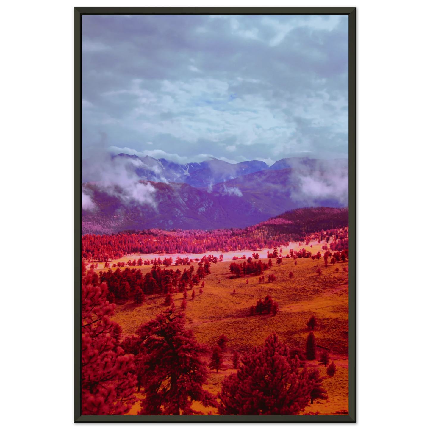 0c9f40bc-9942-4195-a6c4-ac13887c46f4