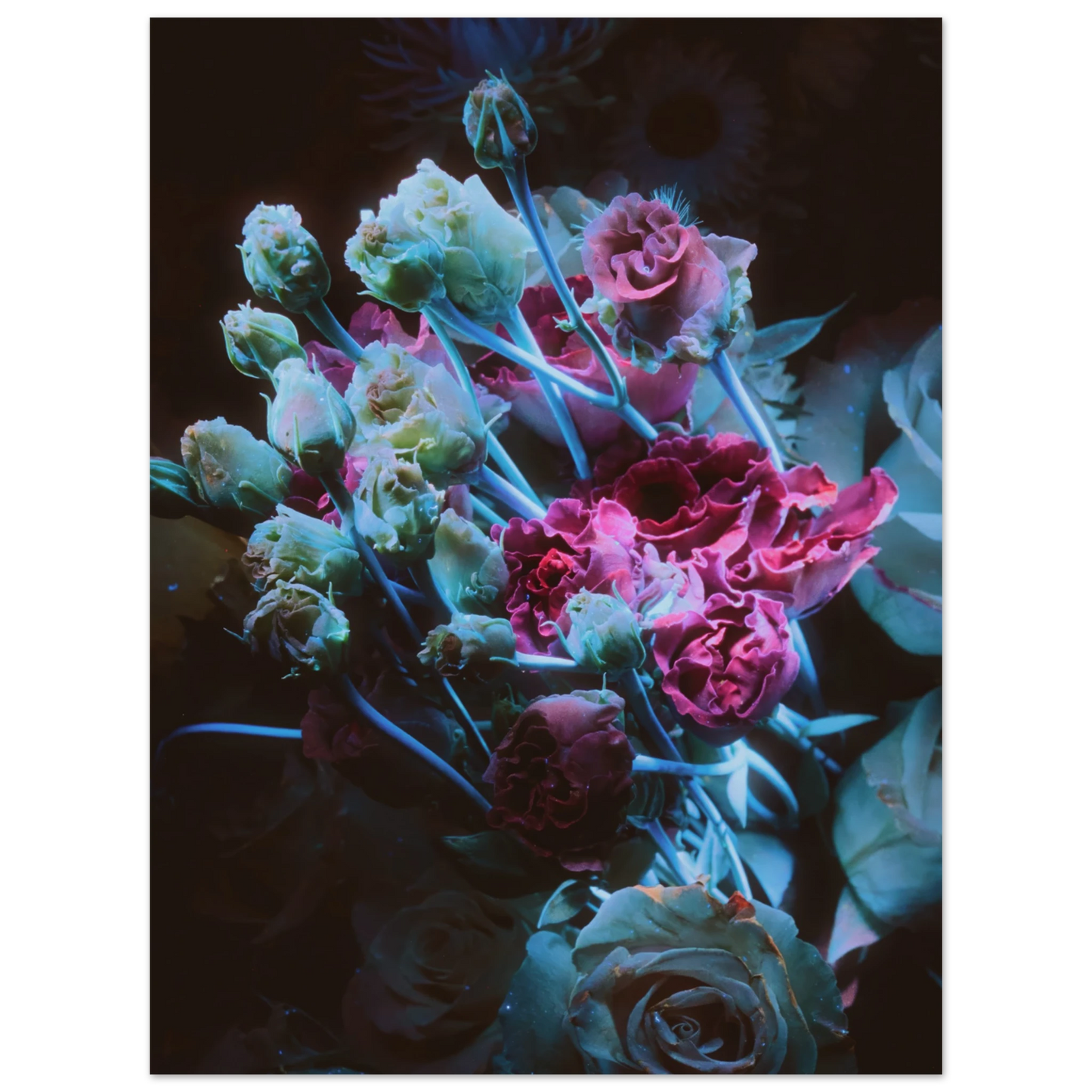 105ab70e-e6b0-4e0d-8e9c-9a6e5aaa13f9