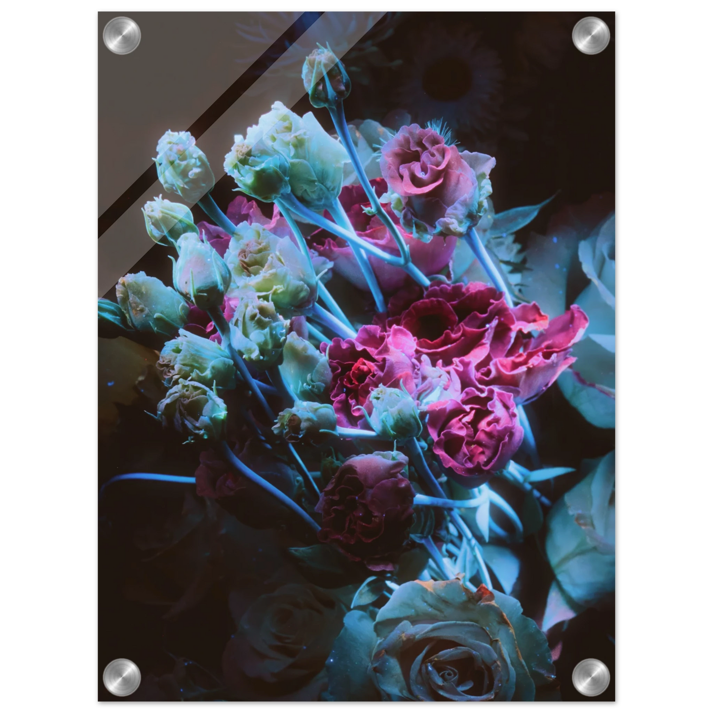 1484b079-6e67-43a7-9614-f1996f4729cb