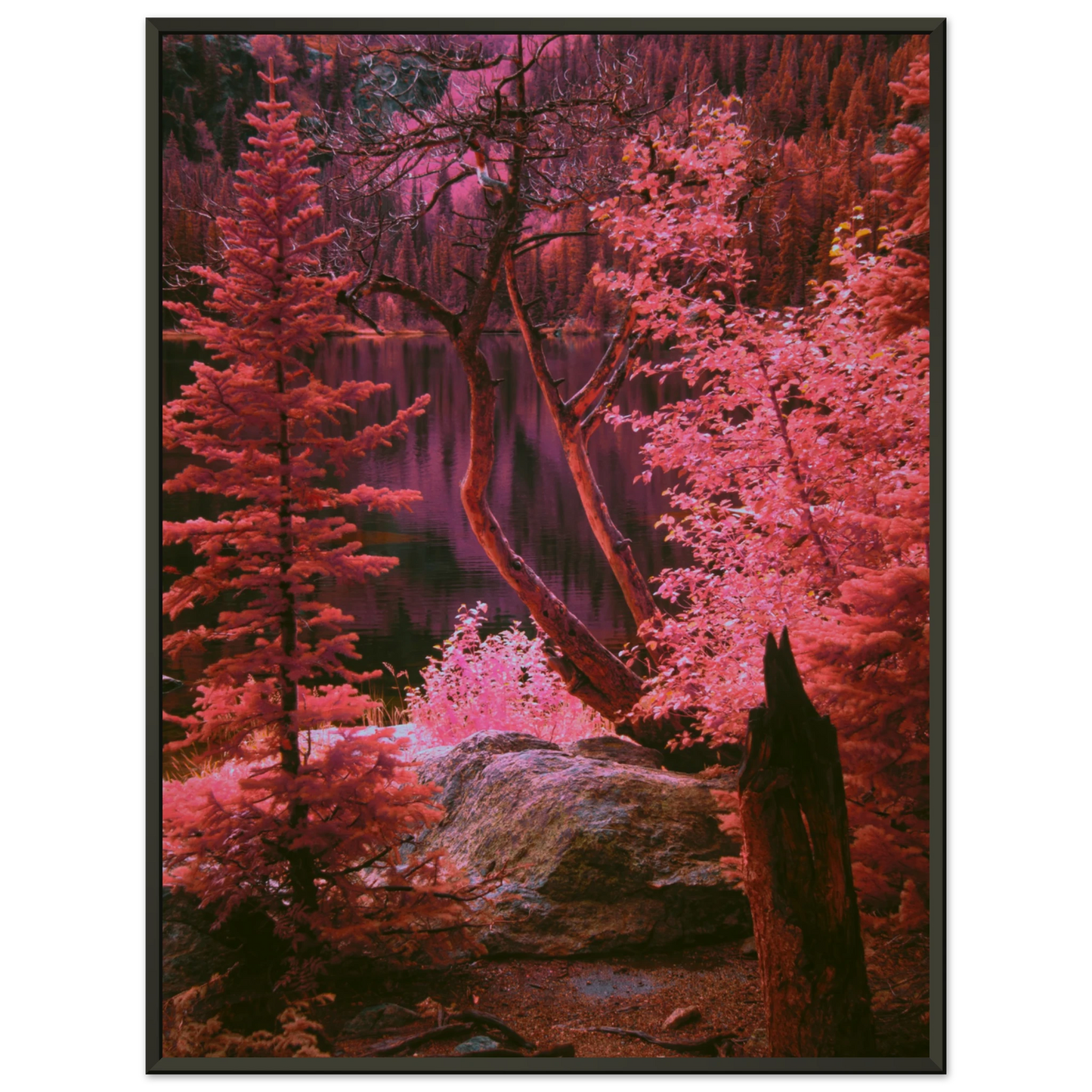 174cfdd0-10cf-4078-b423-e26cdc7fb190