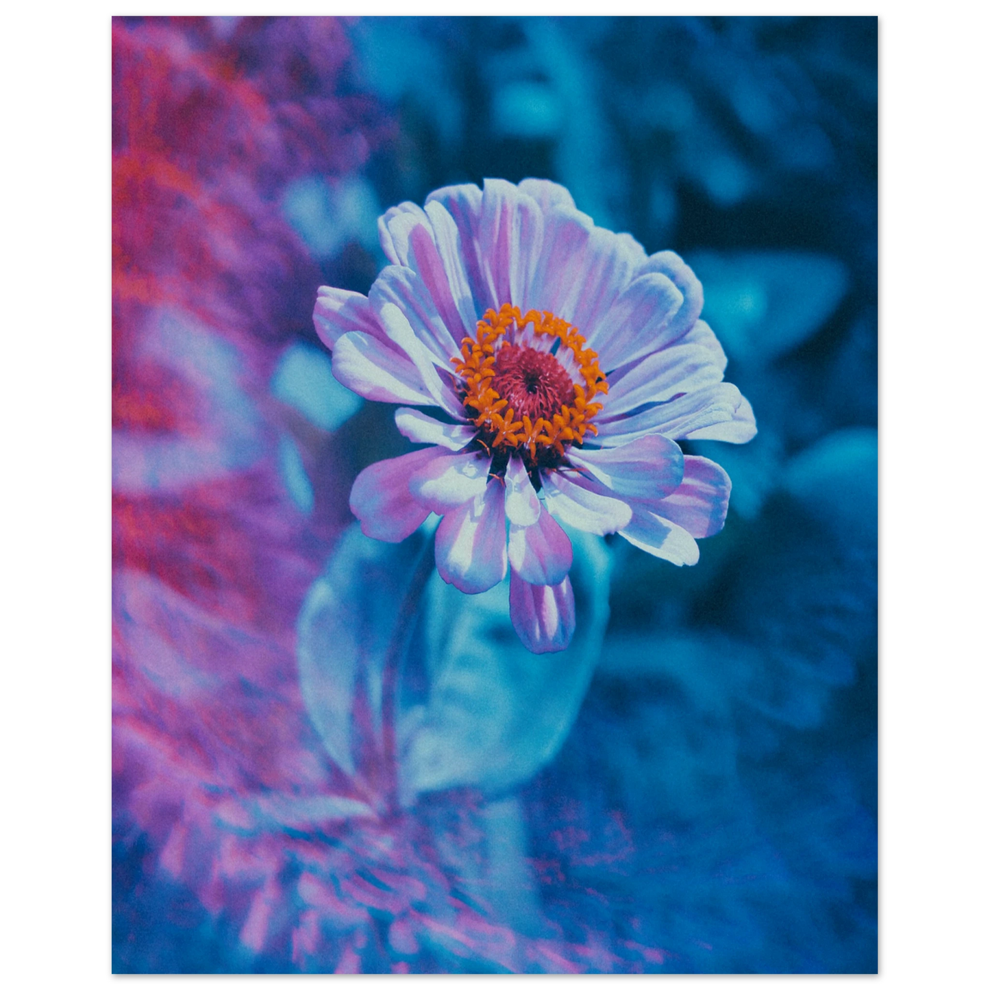 17c2cf8d-d082-4398-9d7f-145f511399c5