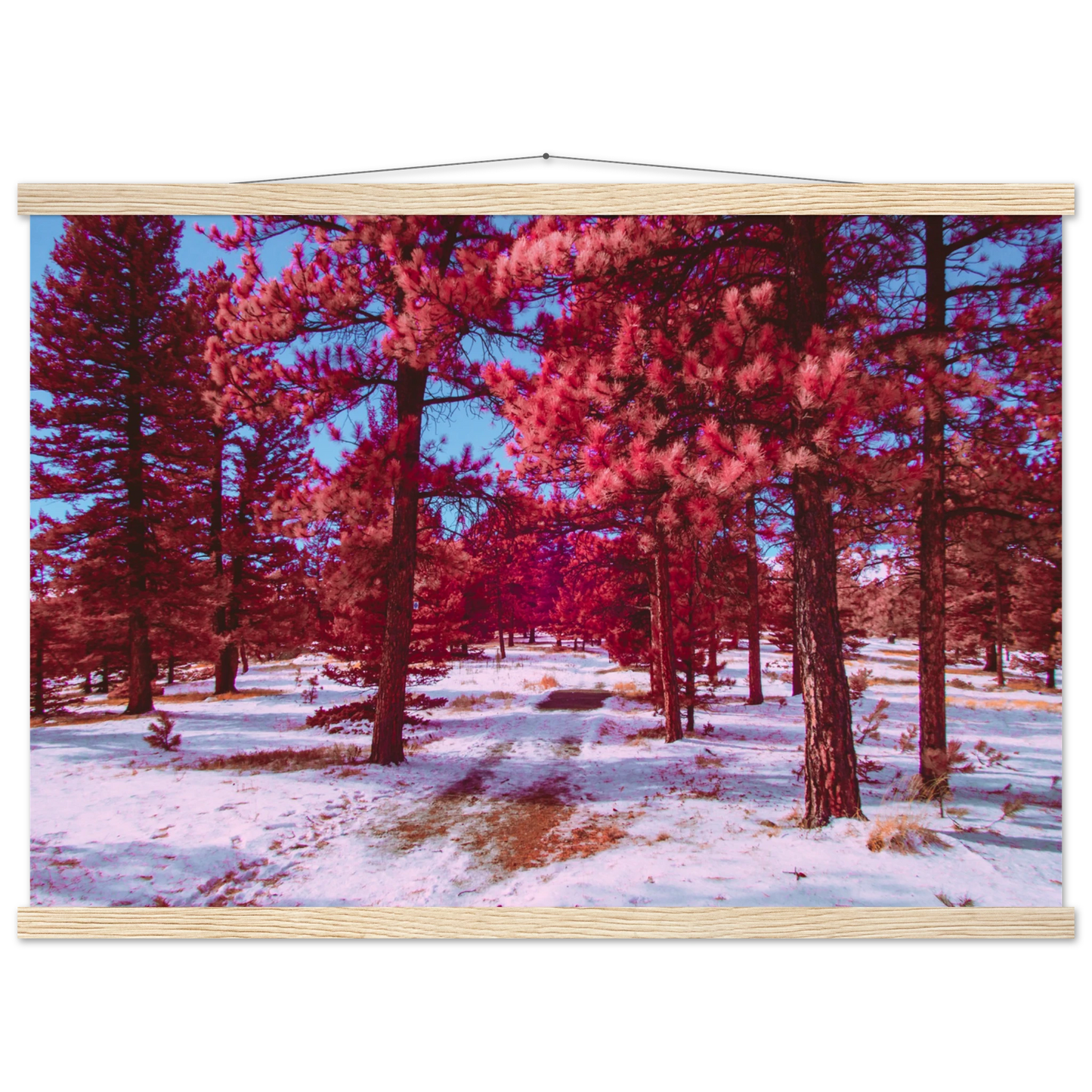 1b3deb7a-d5c2-4122-b920-e30753814034