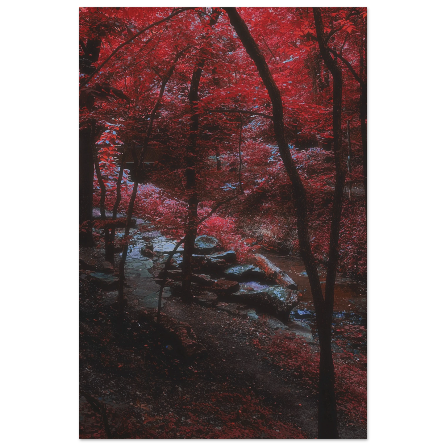 2acd5775-d7b3-455d-a6ba-07d6dd2cf256