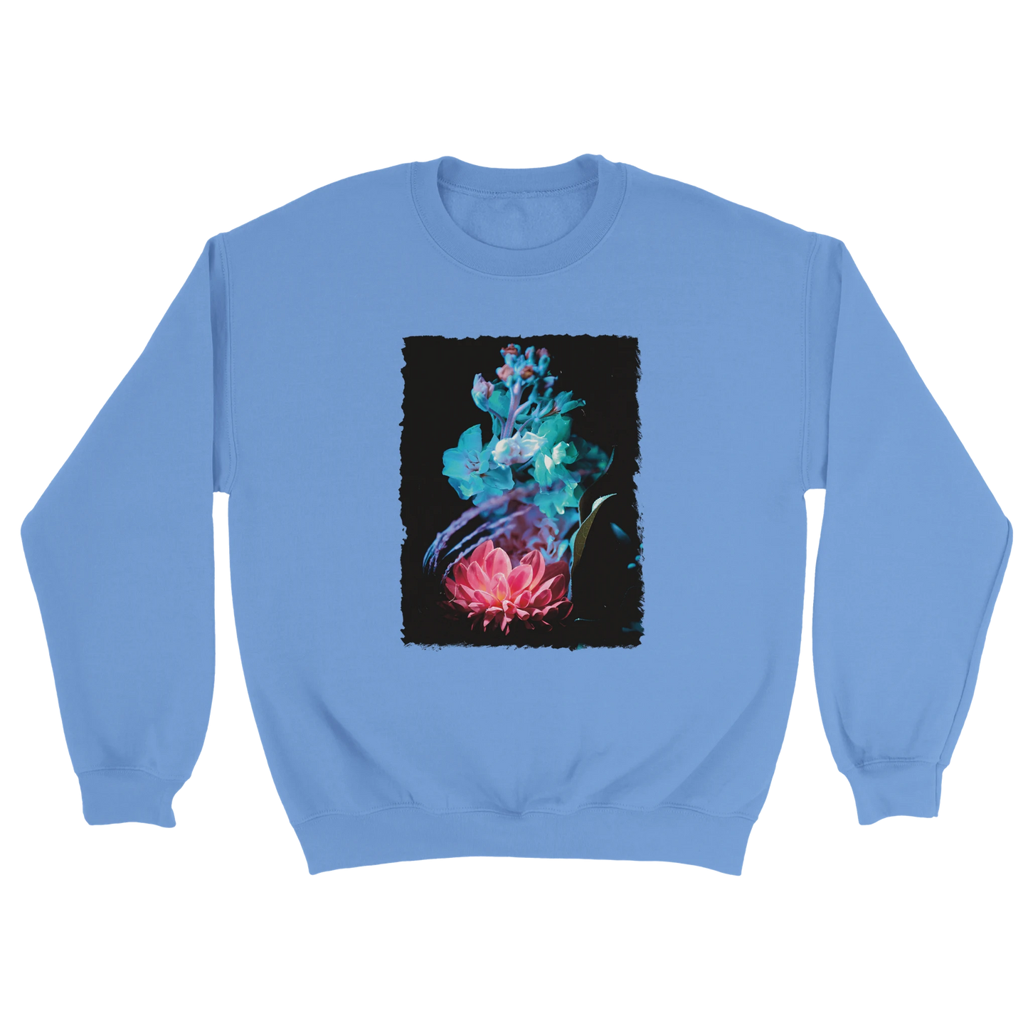 2d895e70-45d3-47ce-8832-530c251329d8