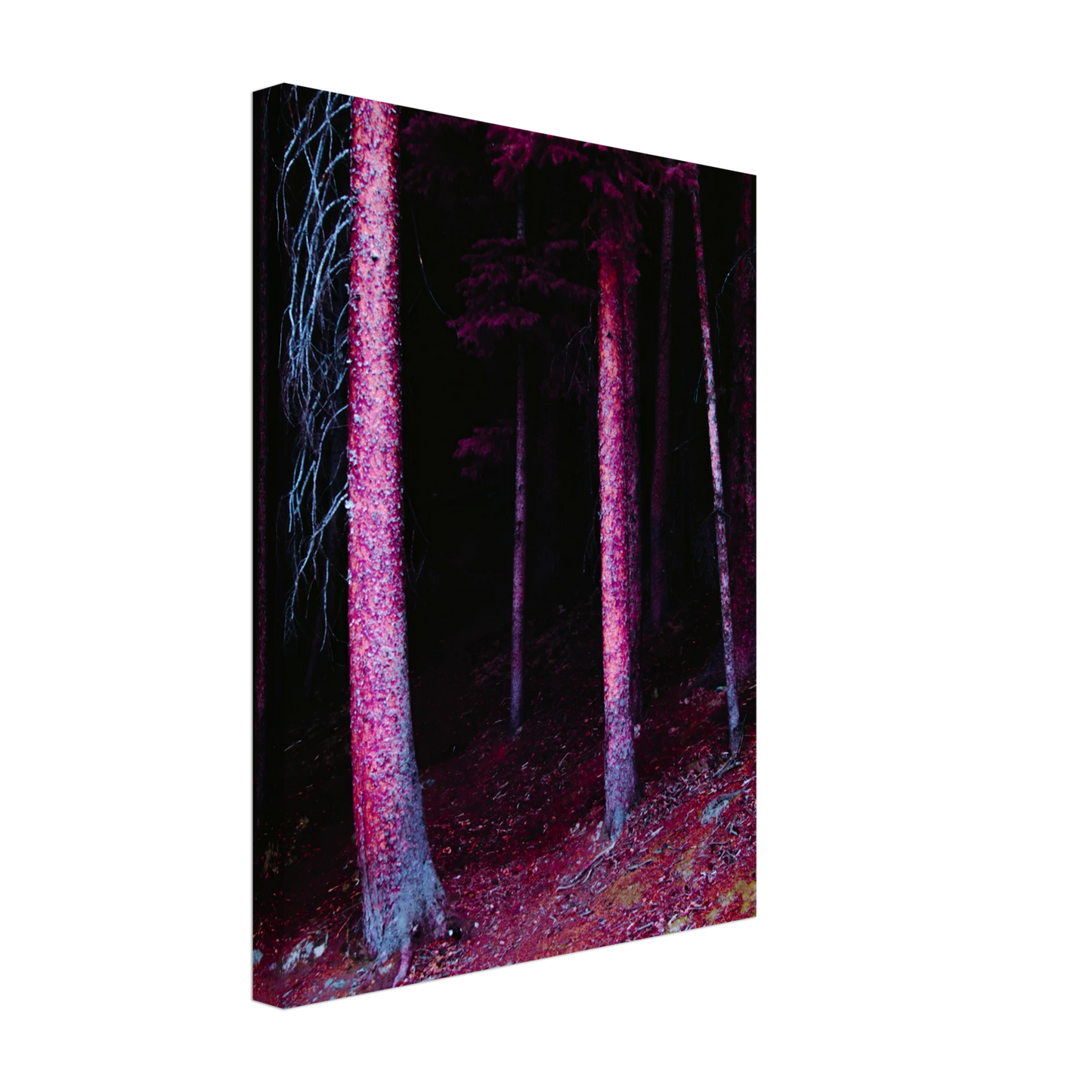 38ff89b9-2cb7-424d-8ed8-d1b92bcf1a34