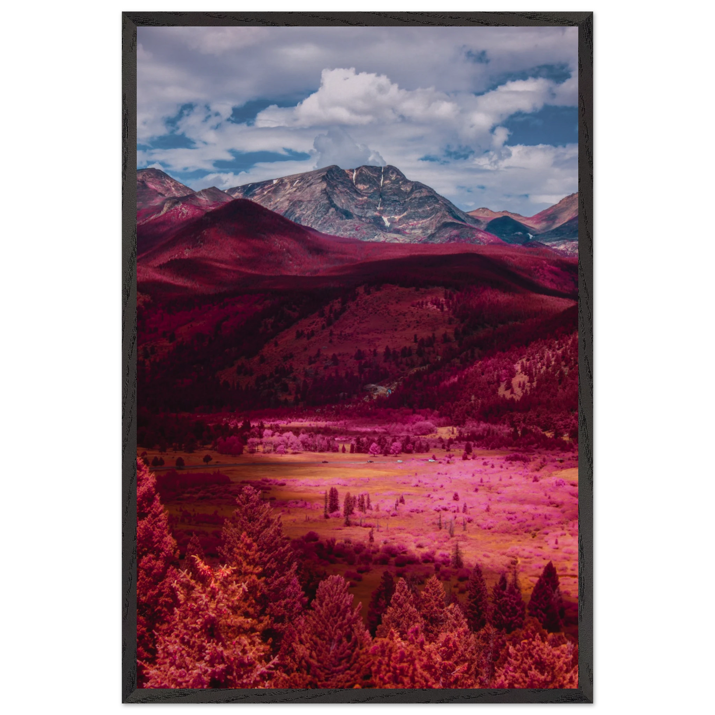 4b7f69c3-c3a7-4210-af0b-45aa7af0f6ff