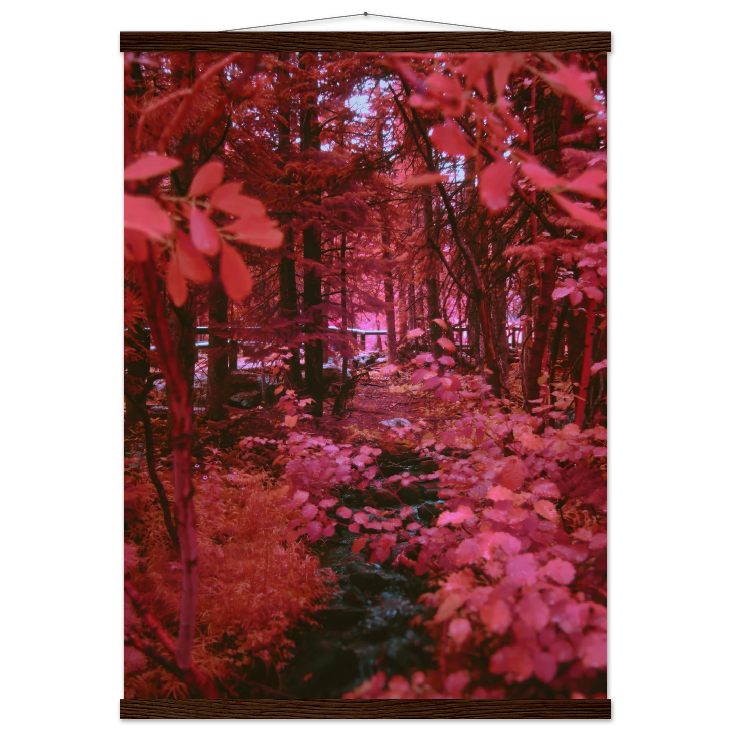 5c598be7-32ef-4f4f-8069-e5868b0b1bbb
