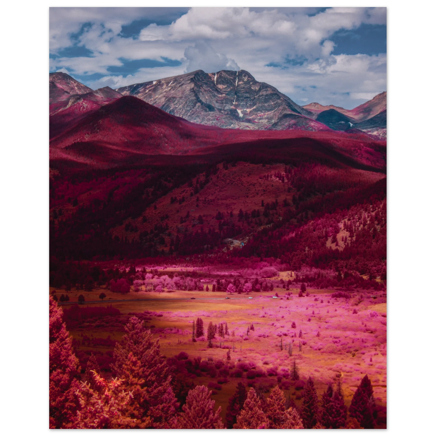 5ee6d838-f750-4903-8561-29fb144ad355