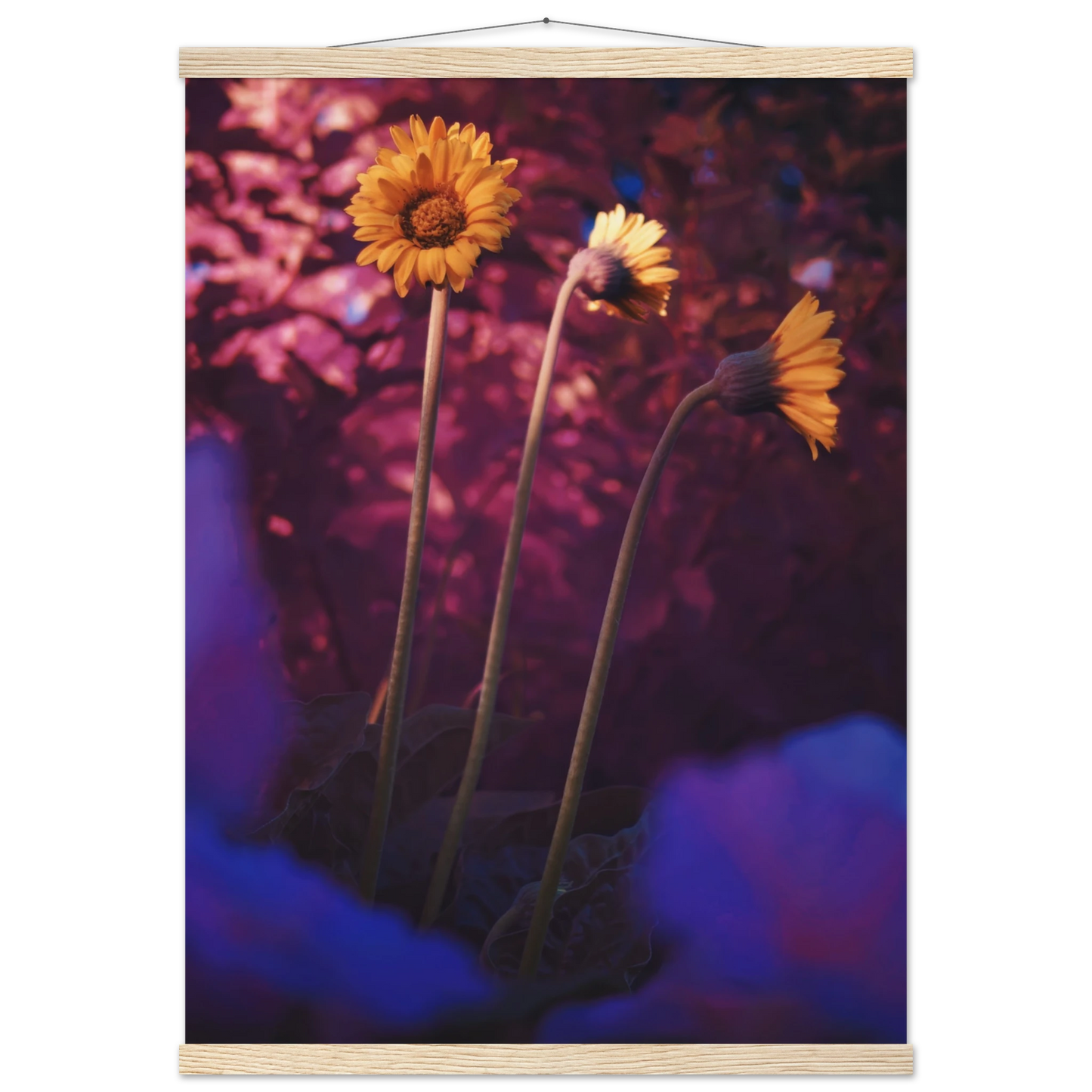 5f0cc766-ca67-44df-b833-6fb34b10c0a6