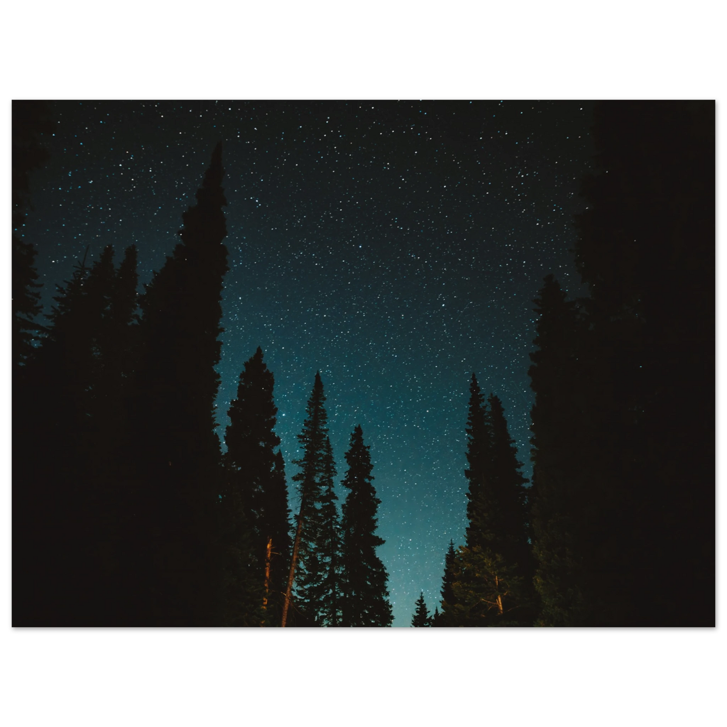 5f9c6537-51f3-45cc-b3f4-1b839c5dc3e0