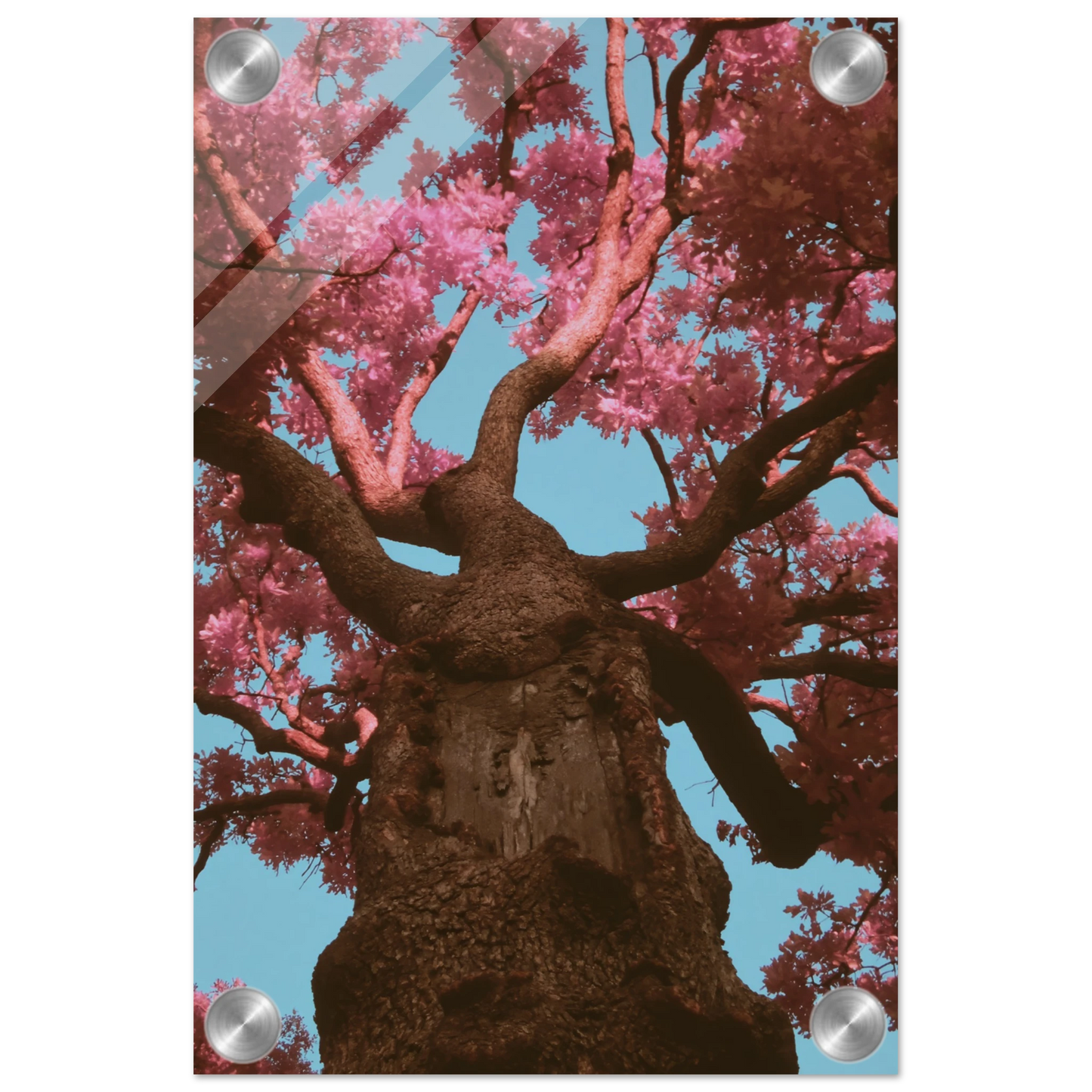 67a7c119-5704-44da-bd7a-f730d1d672ab