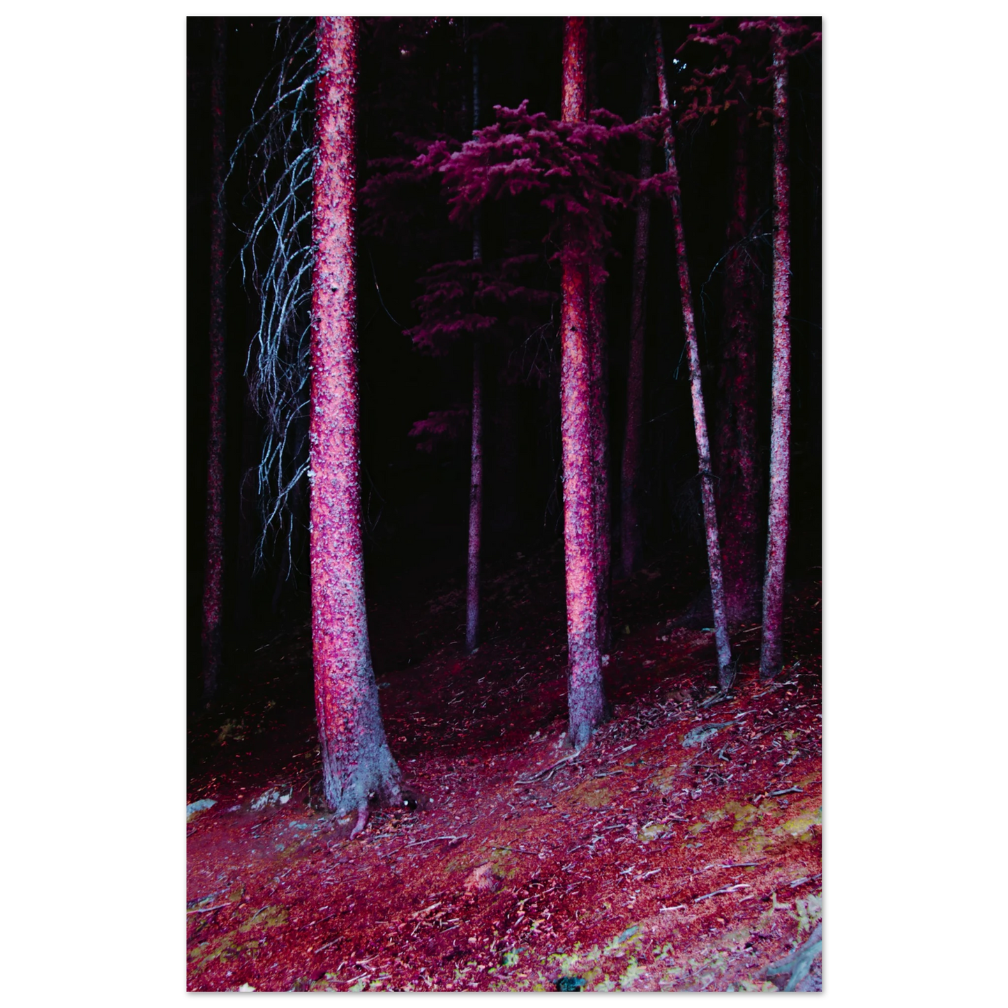 73057d16-5ca3-44fd-834f-9b05048960e0