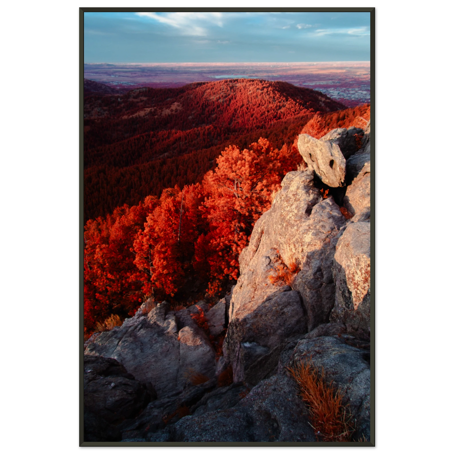 7749c8b7-c2c7-4d2a-85ae-a7b718932ec0