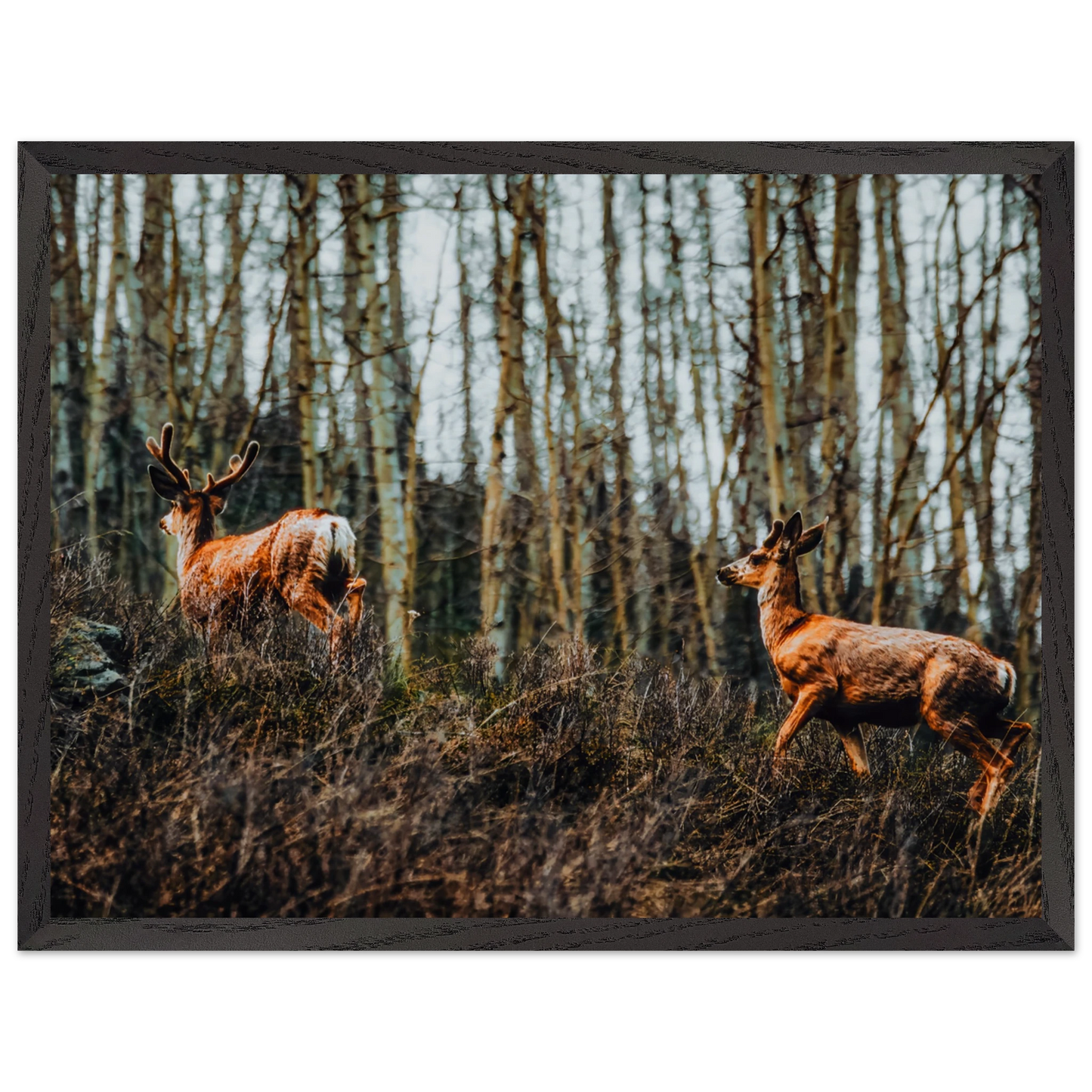 7ea91829-4a69-4cfe-8592-f2fdb65298d8