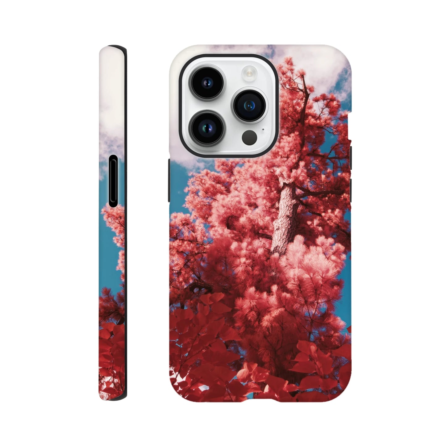 804cb2e6-ba45-45b8-a45c-bcdde4044c05