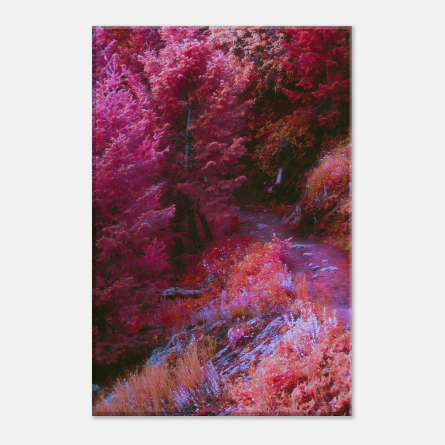 8635171c-f50d-493c-a9bb-53bf6c5de9e0