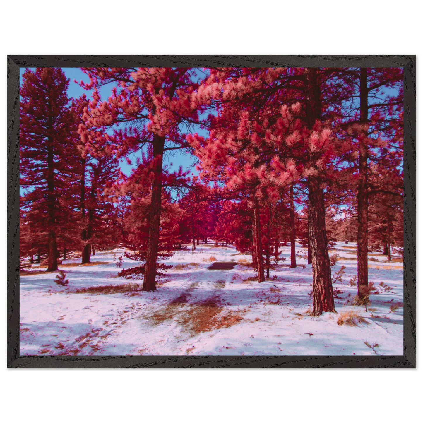 8972759a-8c32-4da4-ab4f-7fd2daf933a4