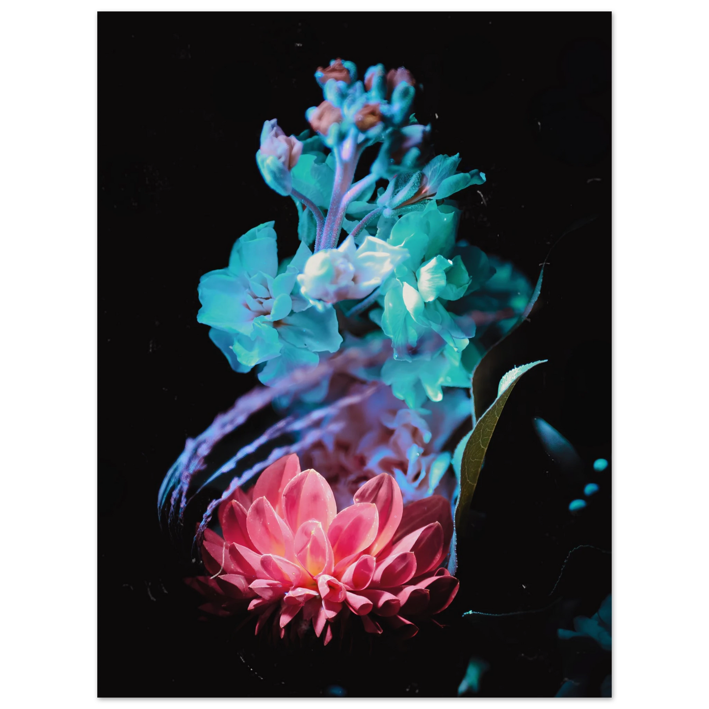 8a4dfd71-e92b-4542-828f-fdc3ef0ddb03