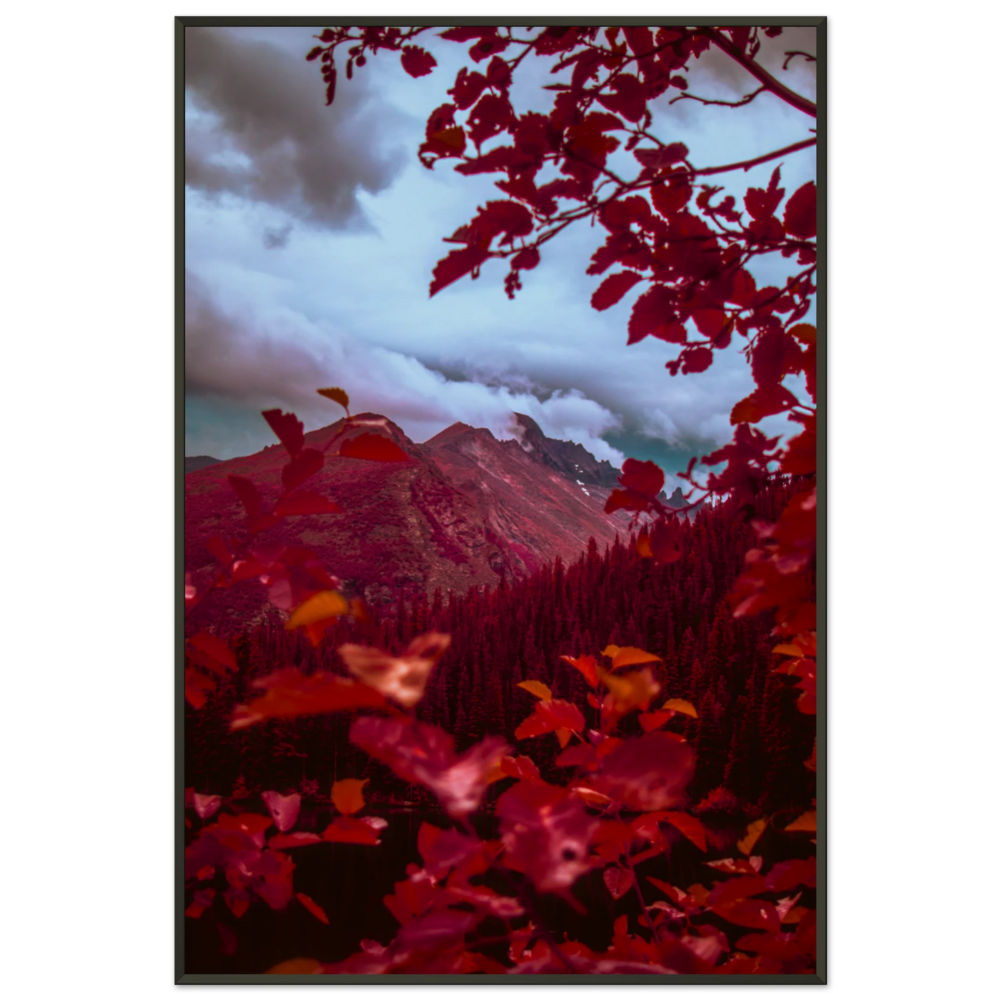 9eeea9b6-bf44-425d-aabe-7fcc6c2181ec