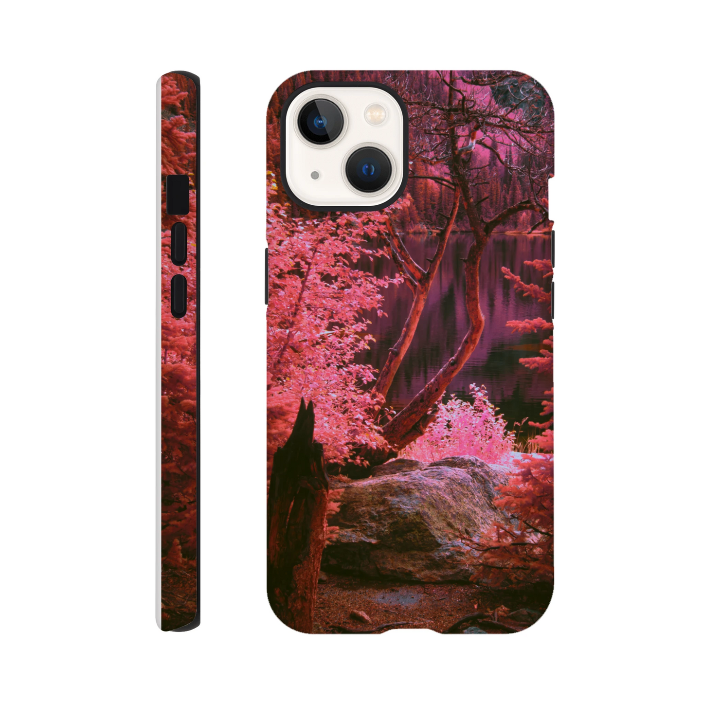 a13bb0b2-fd5b-4410-a11d-8a9d016fdb2c