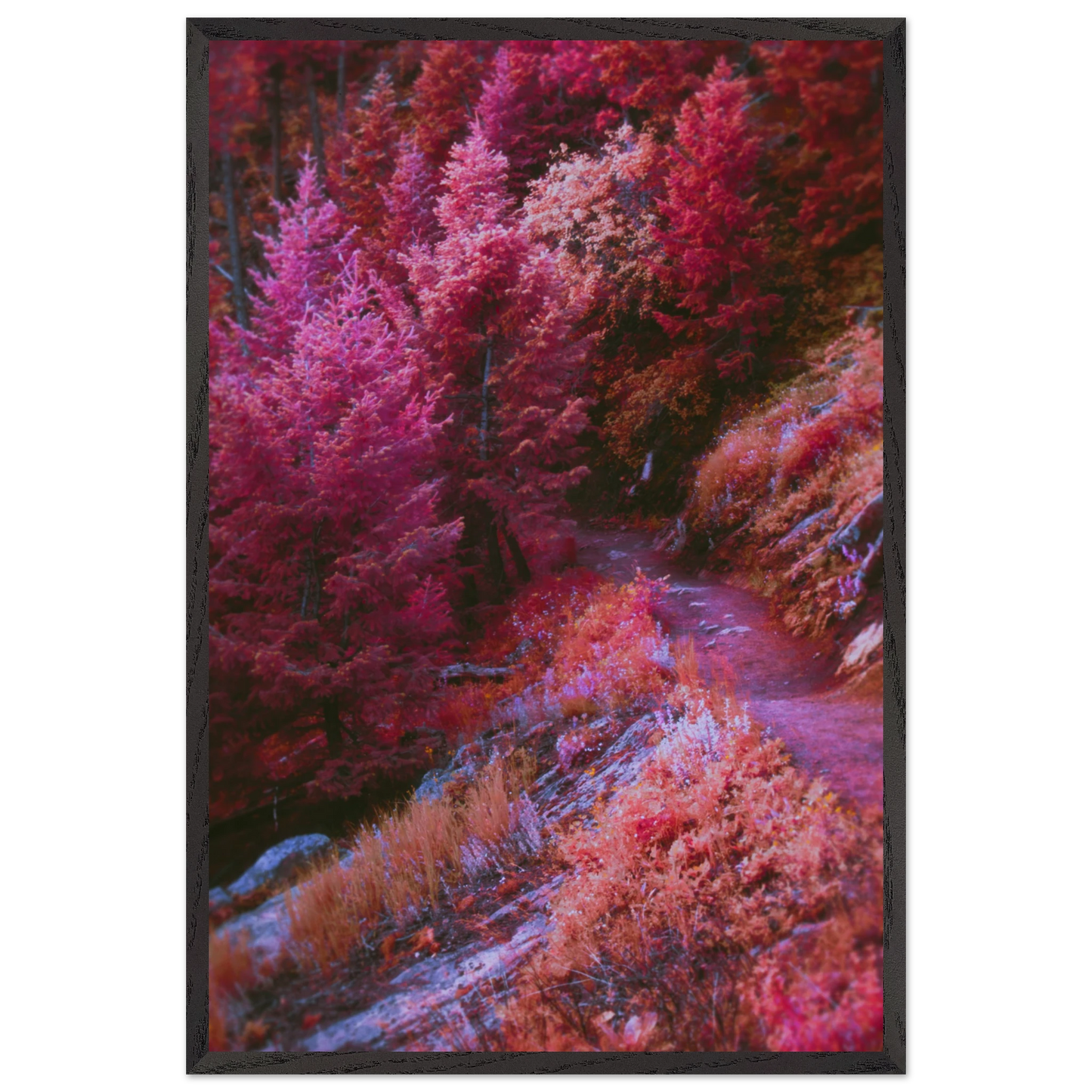 a67b18d6-dc9b-4f3d-8674-12a6521fc359