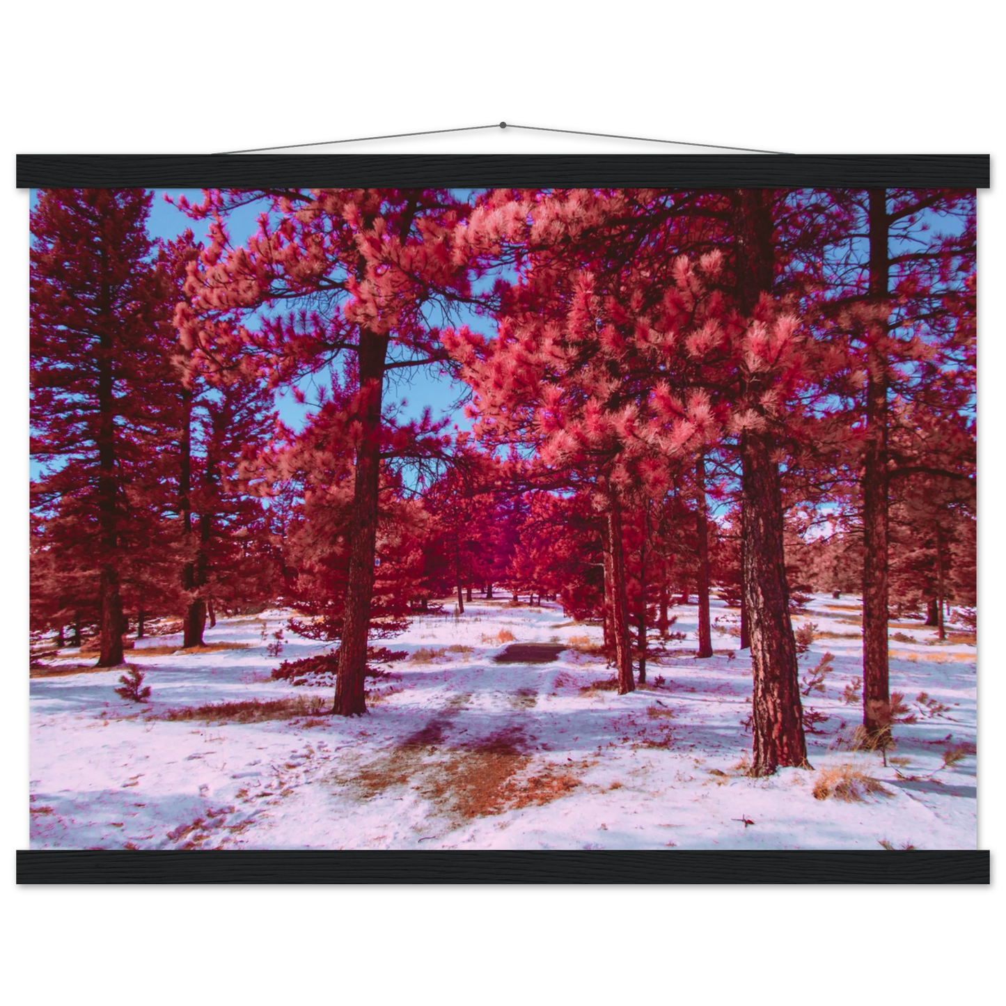 a7251eae-b25f-4588-90ff-132dbb138402