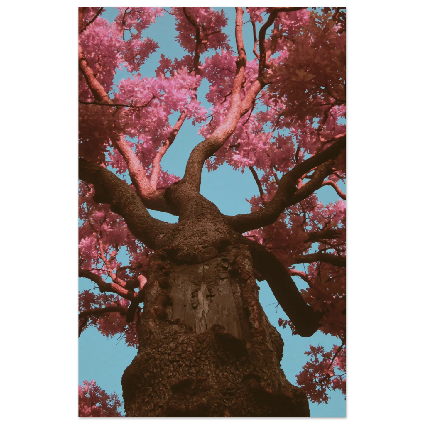a785b95a-6654-4f9f-8dd7-eae2f8b3264b