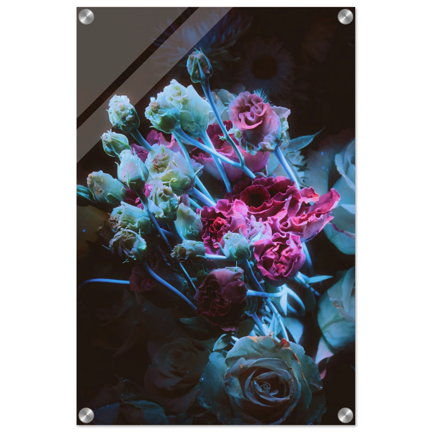 a86244b3-fc69-464c-b369-e75da7030022