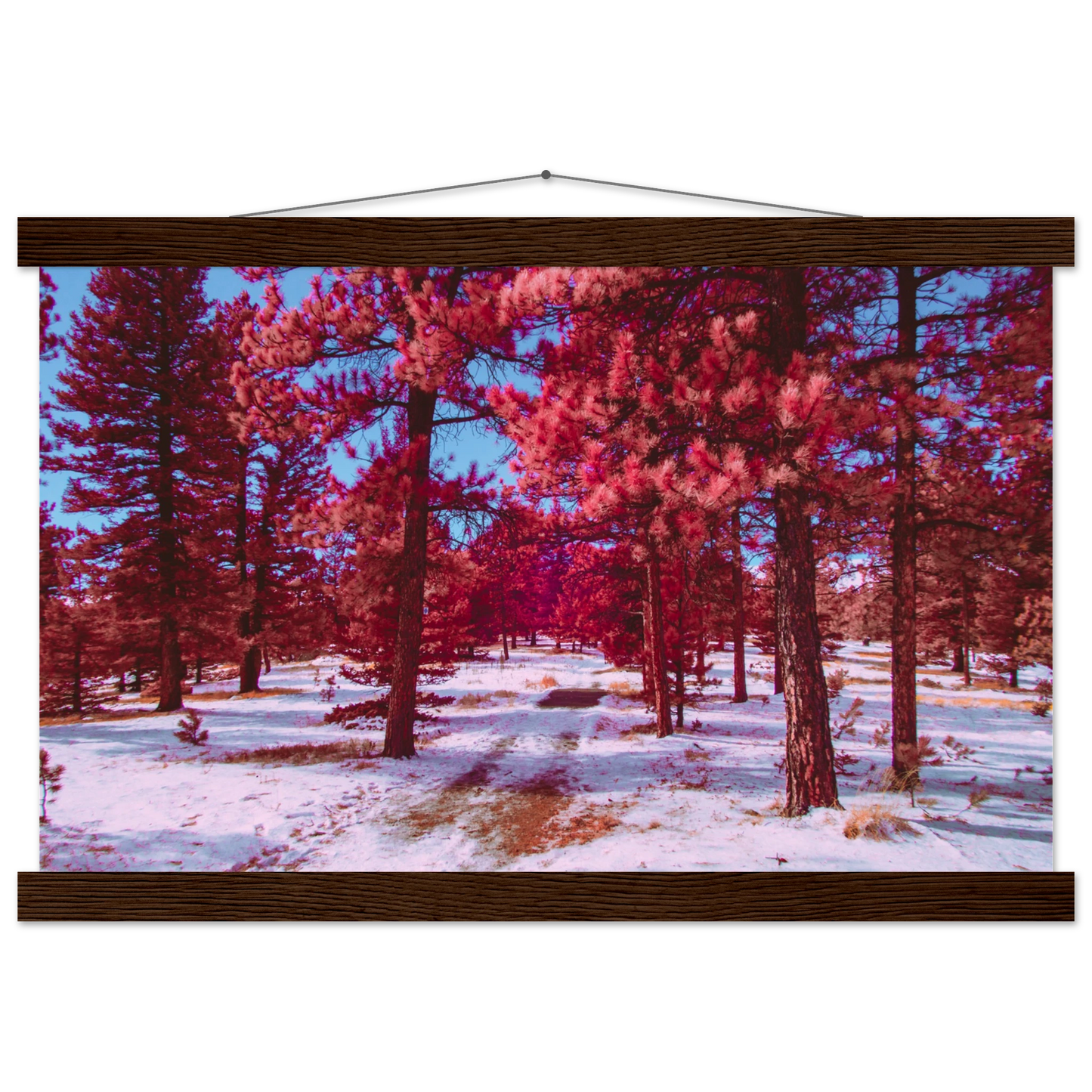 b14ca546-9965-4e0c-8a93-1bb2b8447792