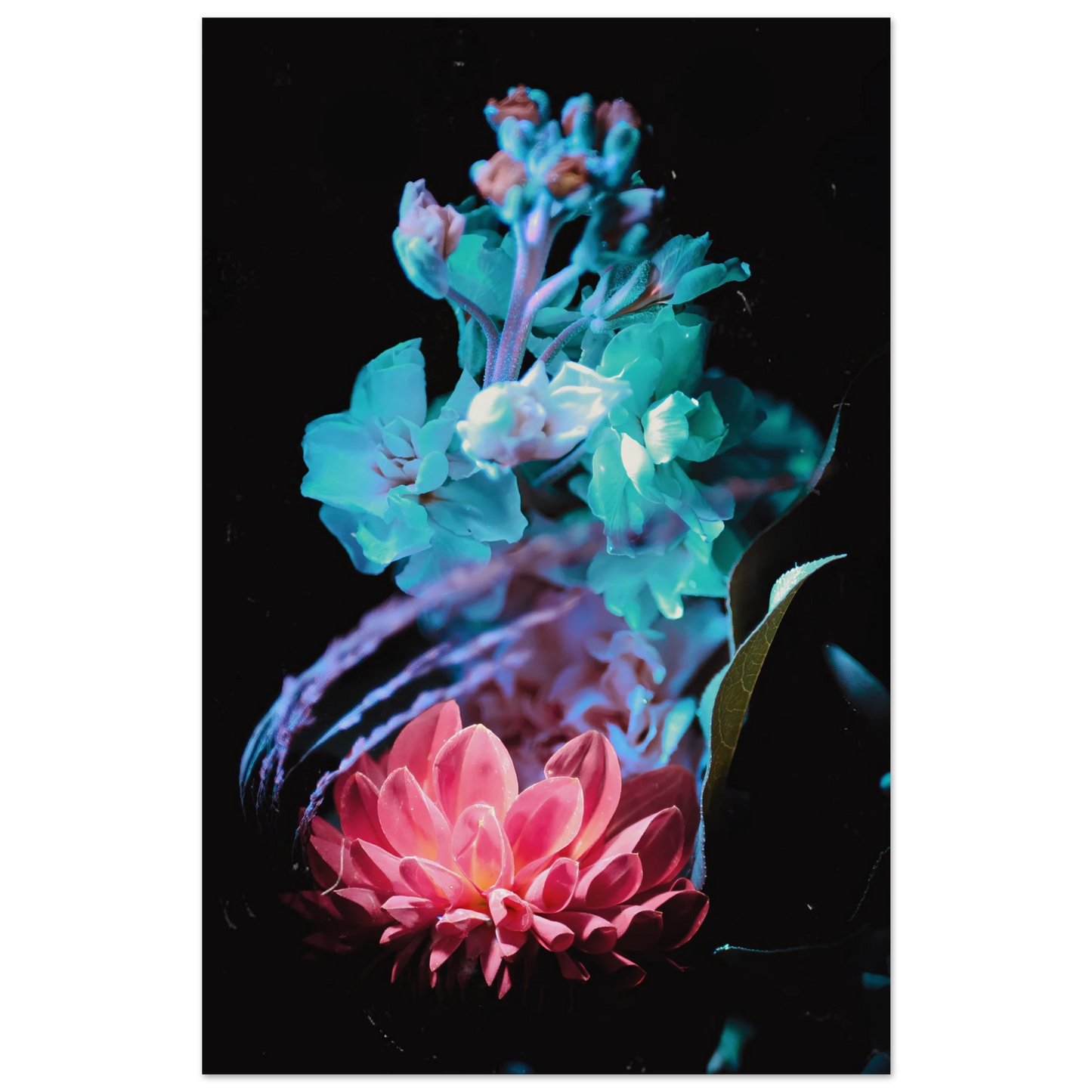 b416bd7d-74d6-4fe0-8f16-cb4f3a3e7db5