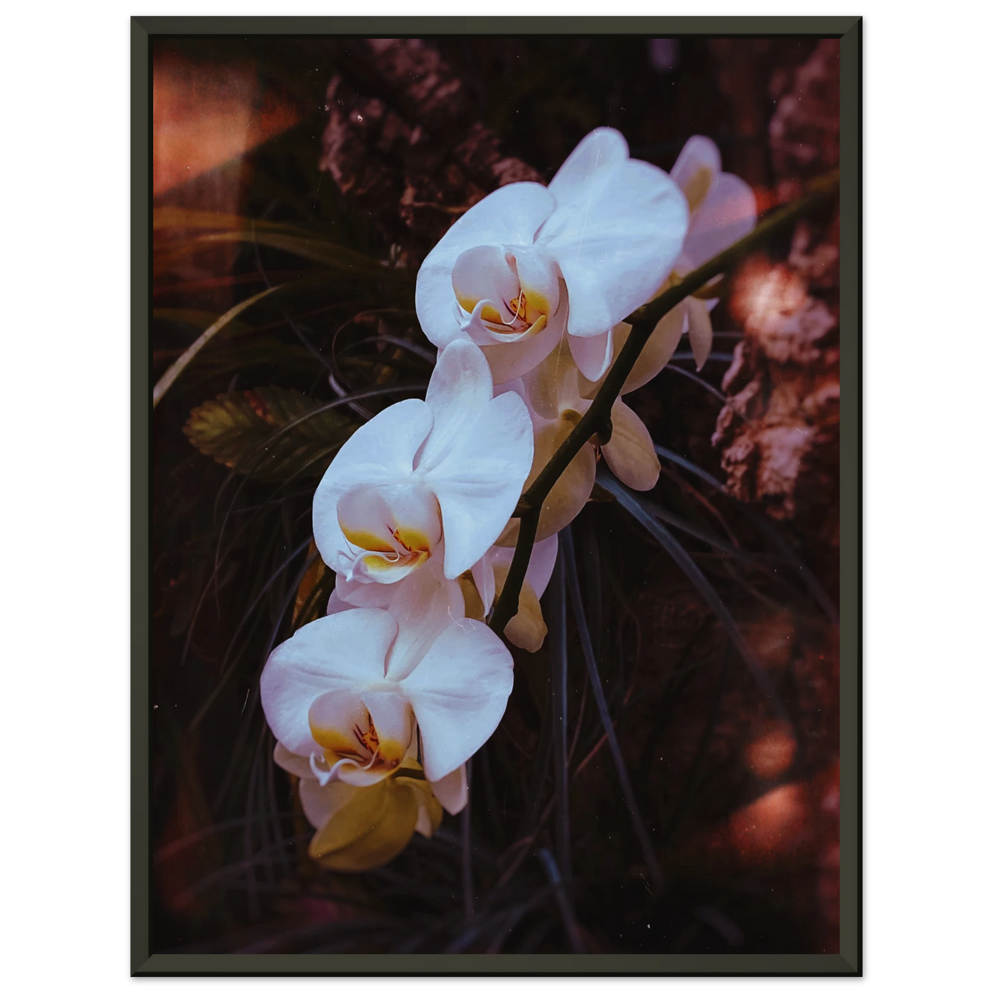b91f0f79-64cc-4a33-be06-92f175c632ab