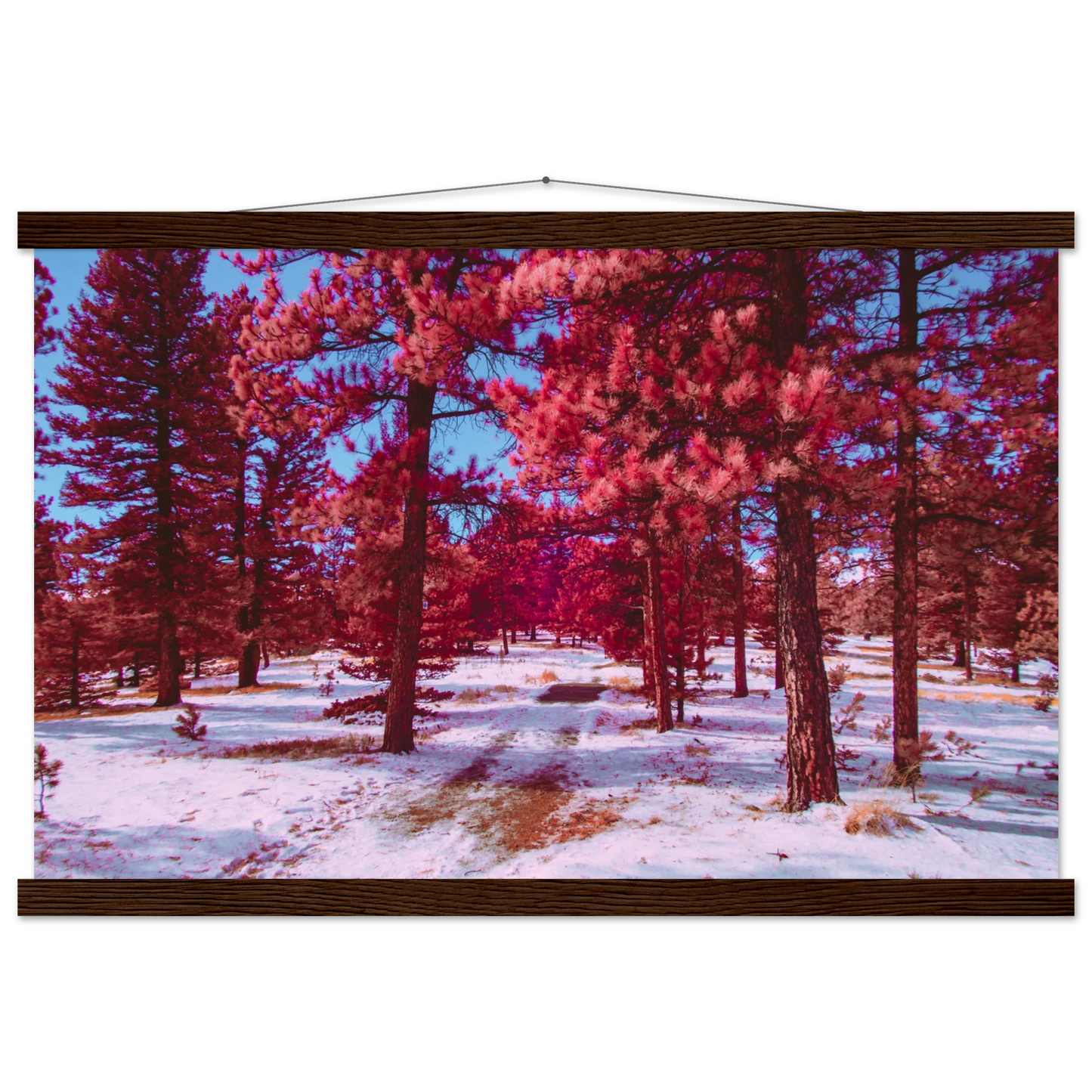 c3ba6a0d-40f8-4bb4-85e6-ff613d6d4d92