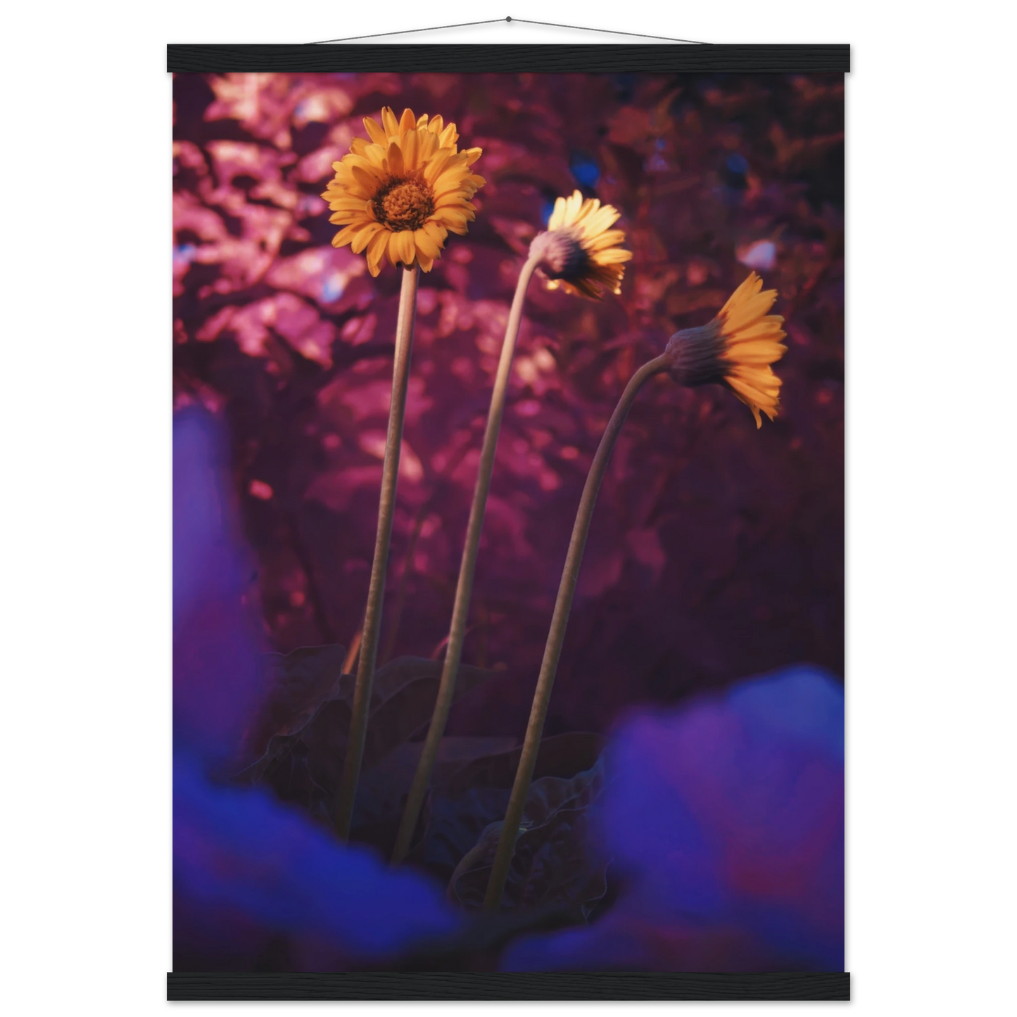 cc1806f3-b24b-4017-a6a3-980b8ac27f0e