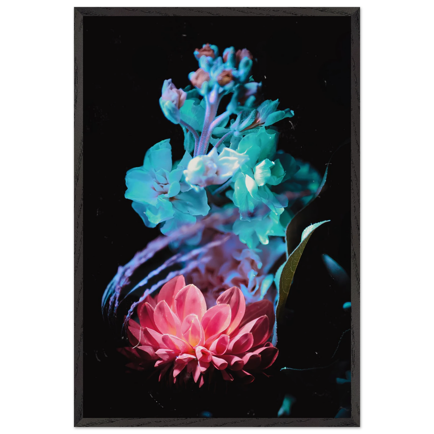 d072327c-5db1-4fa6-80aa-6e56e8090ba5