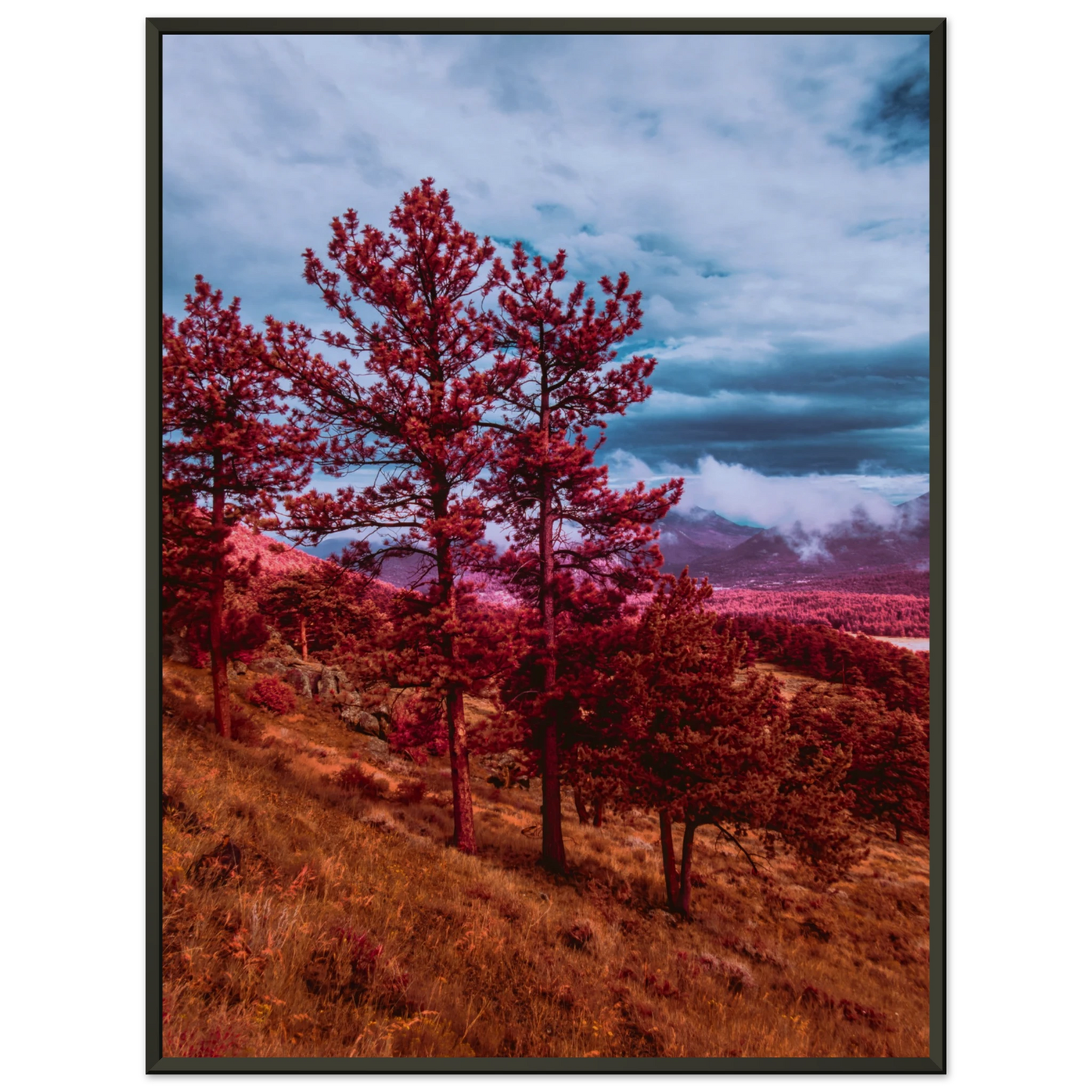 d4ff69a0-7ab0-46a8-b3cf-5df626d162ab