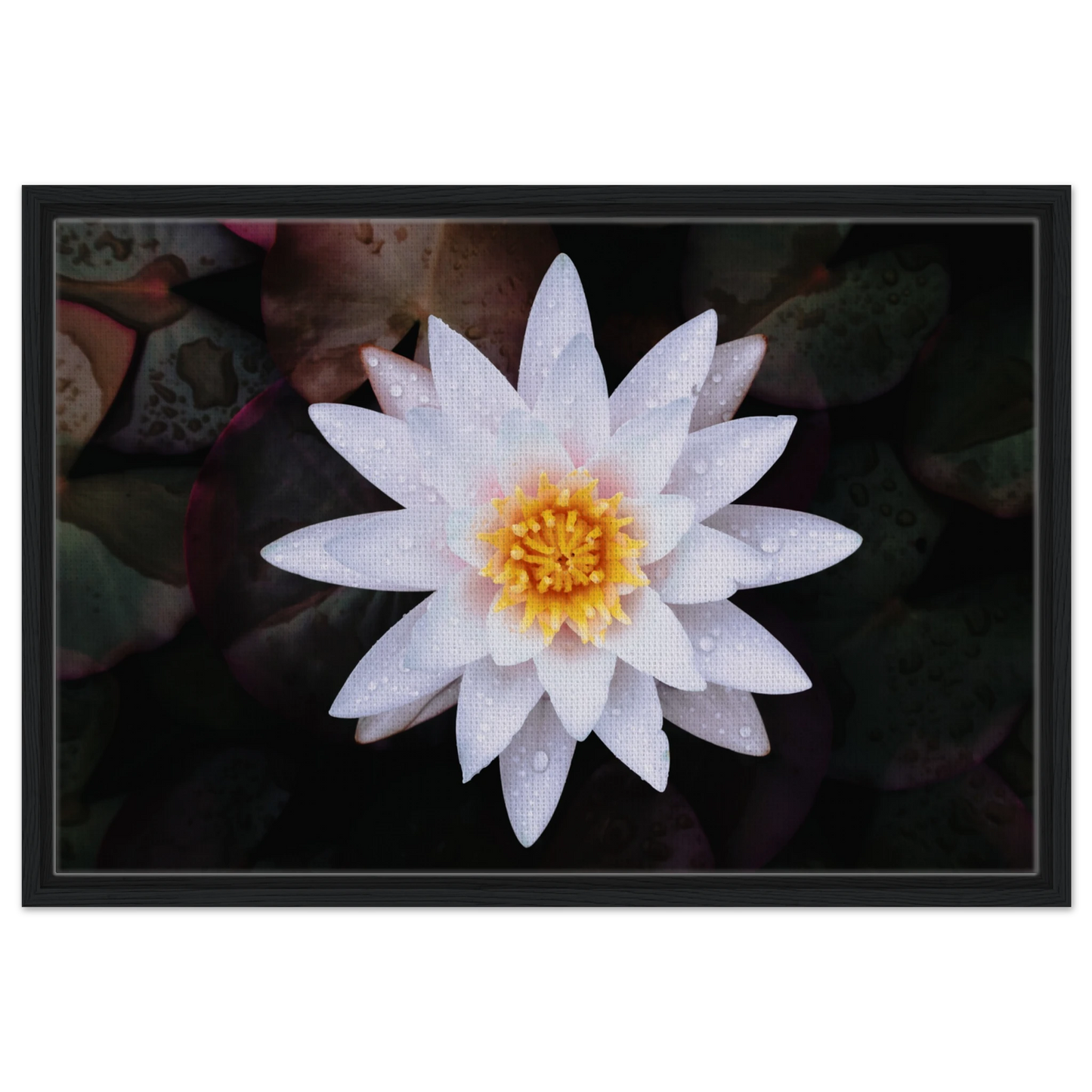 d51c7b92-f302-482b-a2fc-d60cdec2ff67