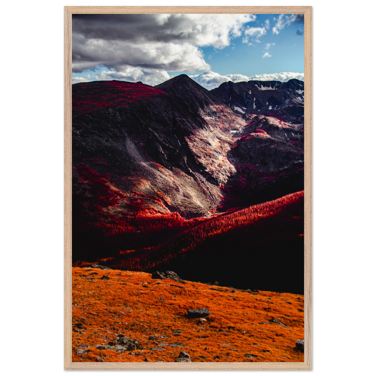 d9d1dd84-9d84-4d1c-82e0-c663aa23e965