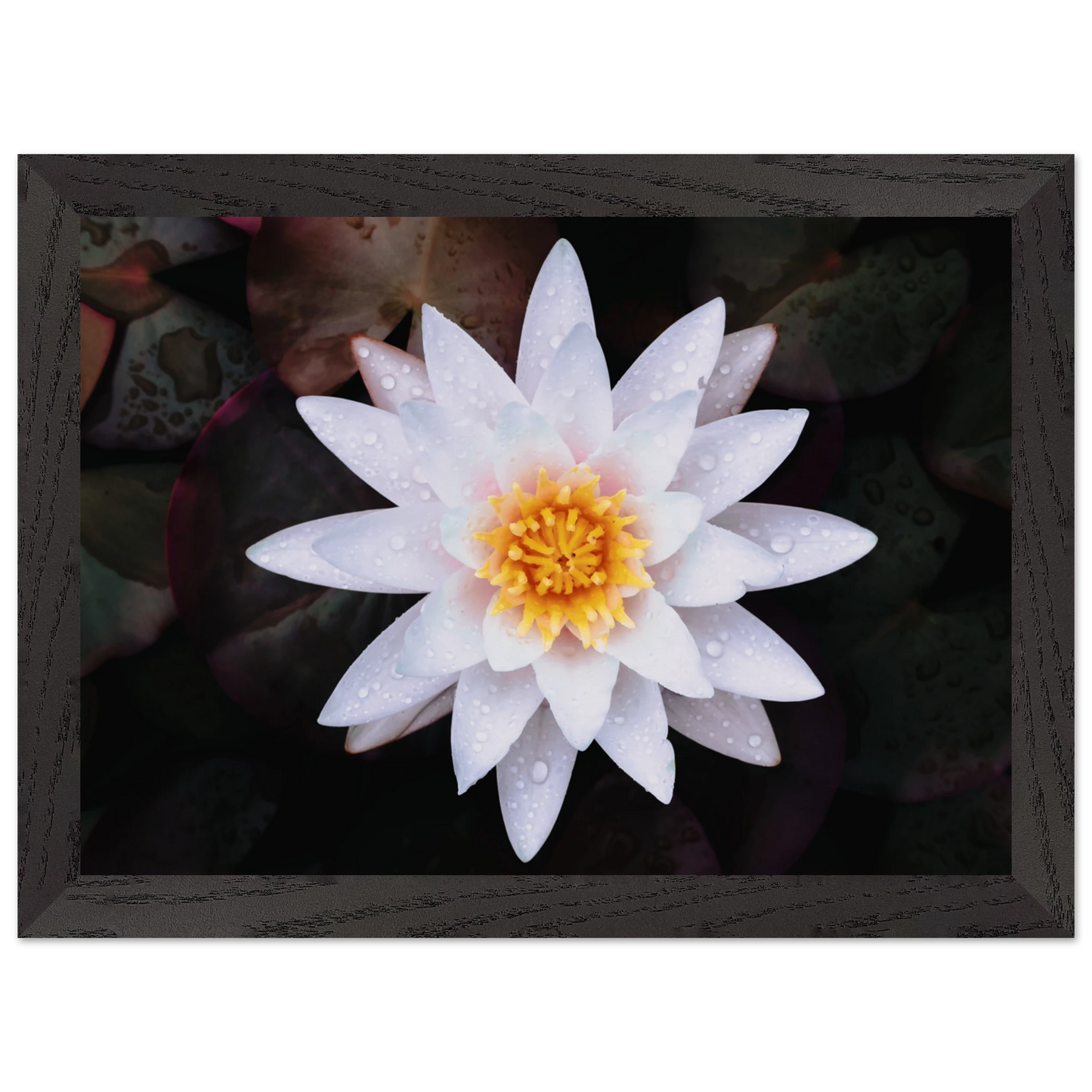 dbf9e1de-f168-4ca5-9ad8-c570f1e3c7a0