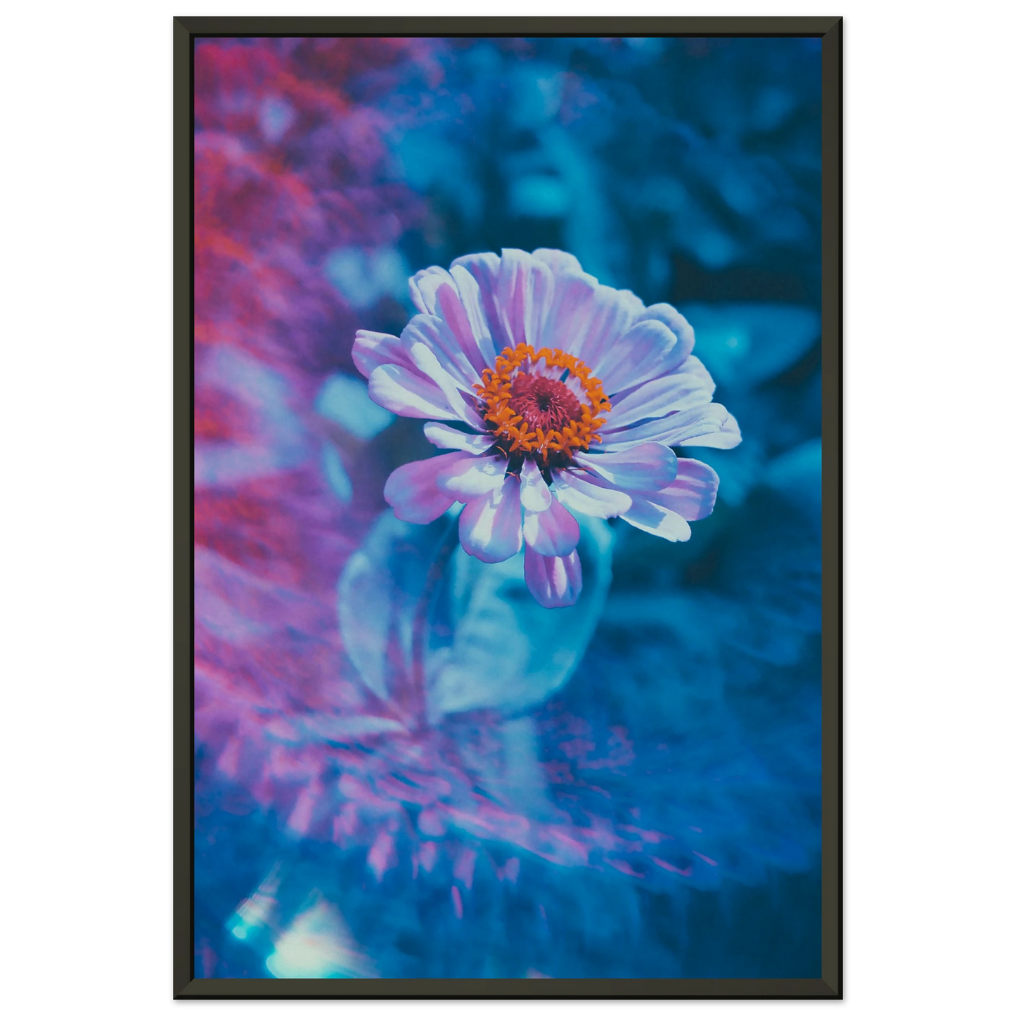 e42b5053-3c0f-4bcc-8c44-02569b70461d