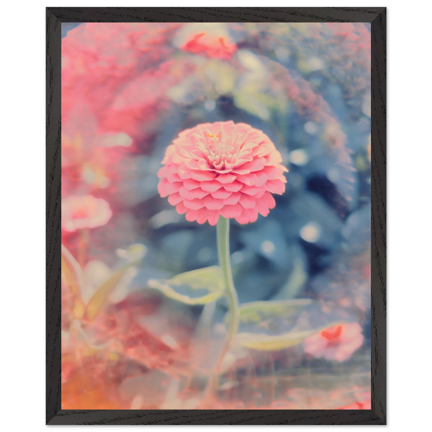 e5106a82-64f3-4d1c-8fbf-ed4241189c65
