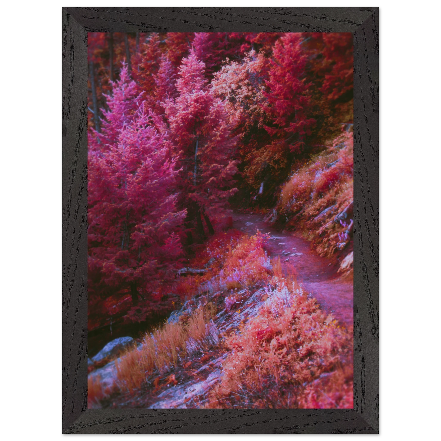 e7982437-dd59-4b76-8f83-1addbe490f6f