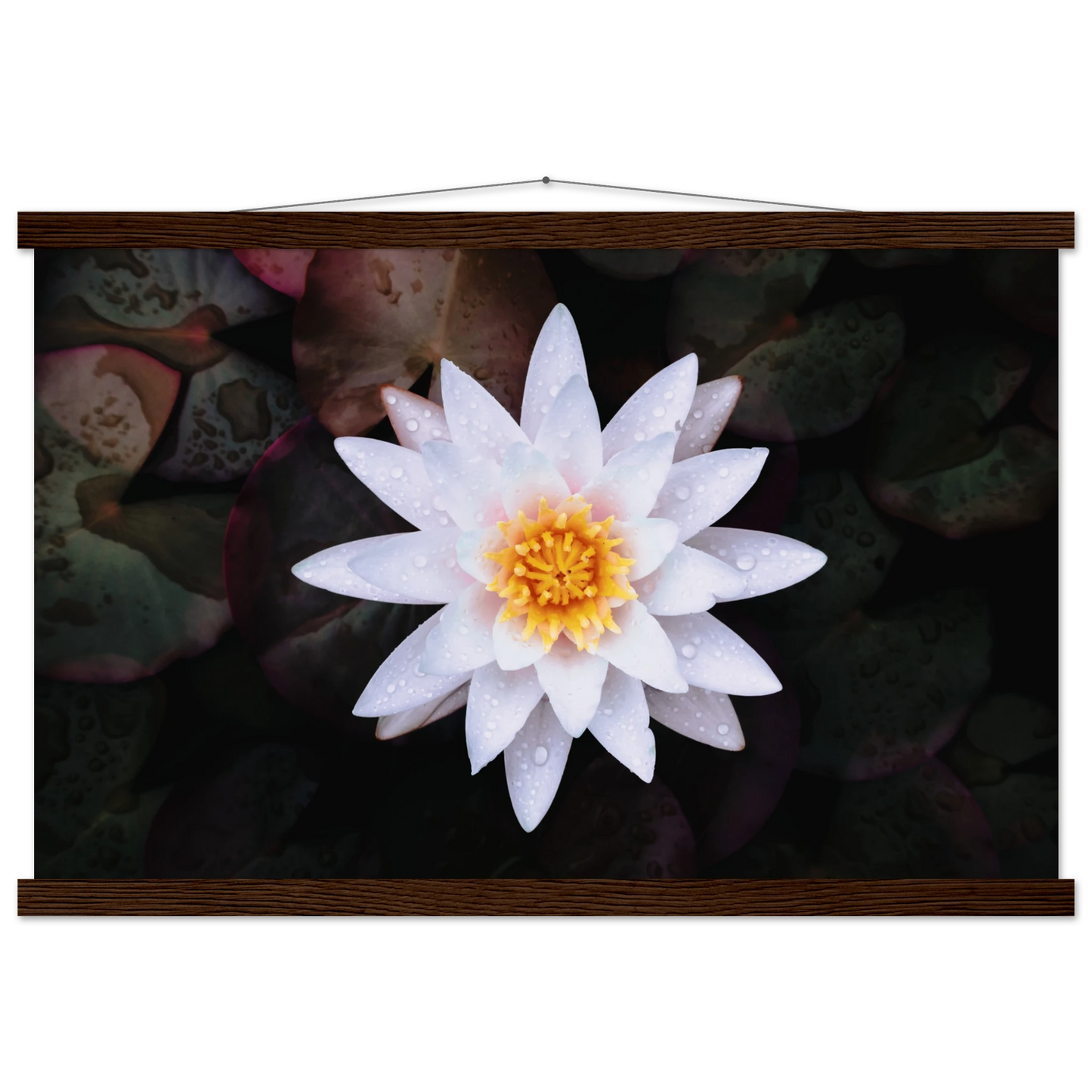 eb05f599-10fa-4098-8e20-8ee552948cf8