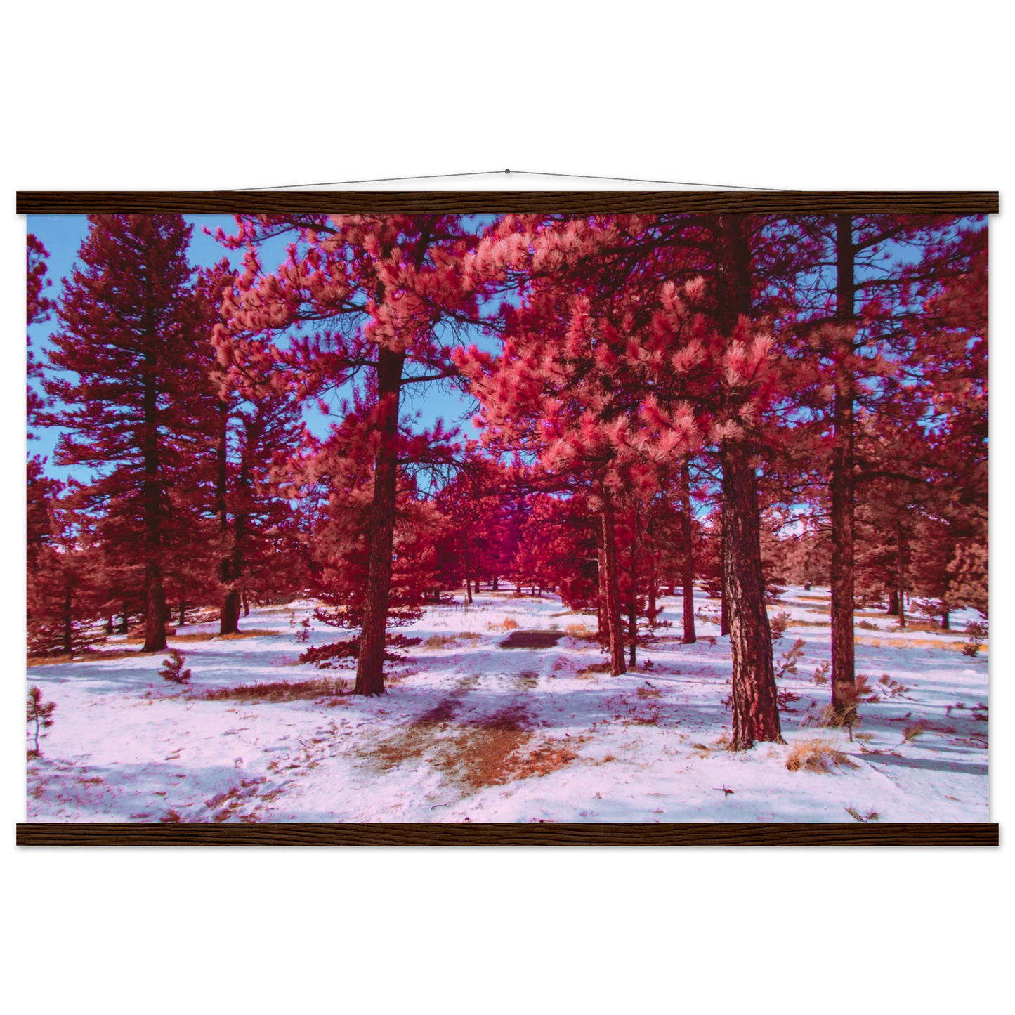 ebb95934-1e27-4819-825b-b6521f03ed51