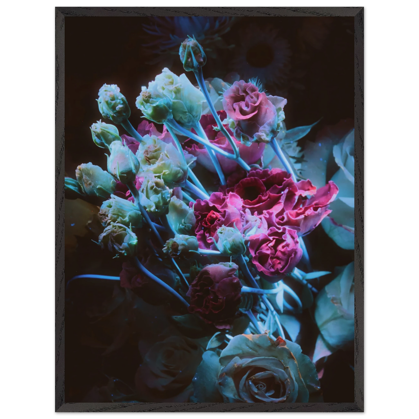 ed048d62-58b4-4e70-ac52-5c2a9a0207b9