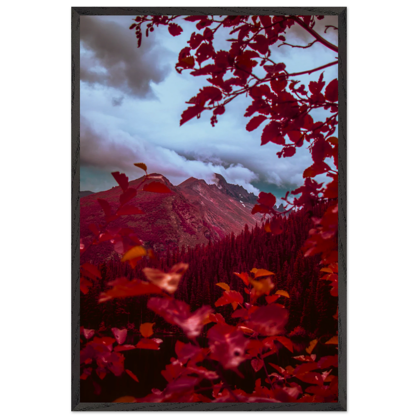 ed3d6529-6b2f-4cc8-999e-7c27ceaaf6e2