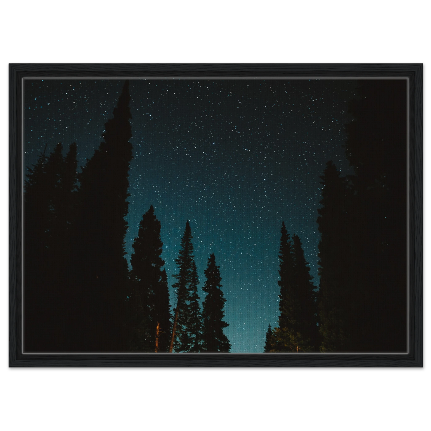 ef5e29af-1faf-4e8d-b003-93964e2b67e3