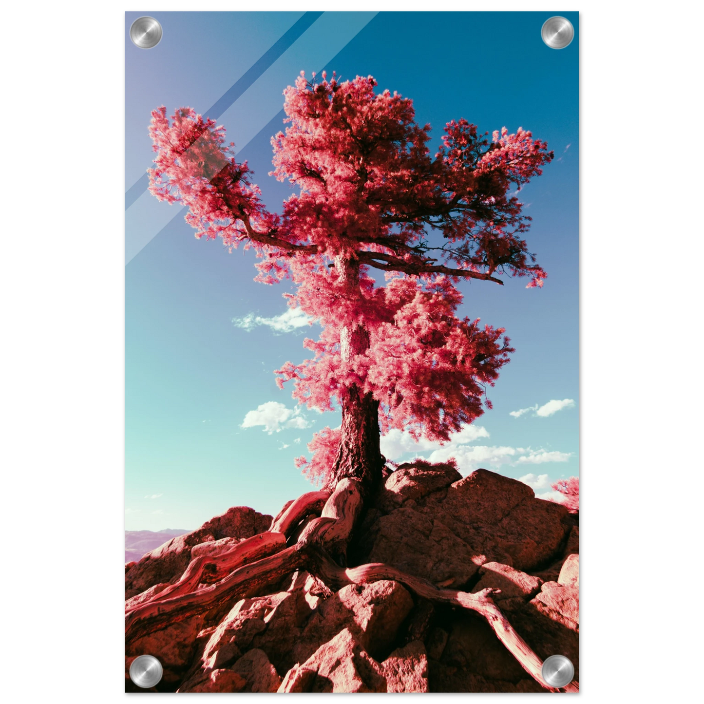 f3649d00-29da-4dbf-8929-041e77a9fe67